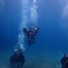 Picture taken during the dive