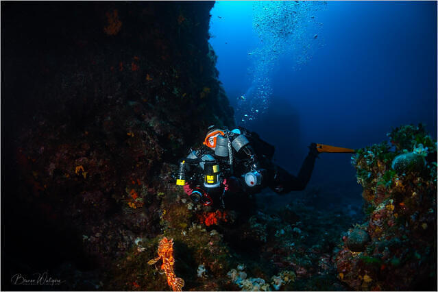 Diving in Croatia, Vis - By Brunon