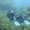 Picture taken during the dive