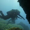 Picture taken during the dive