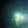 Picture taken during the dive