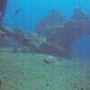 Picture taken during the dive