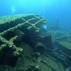 Picture taken during the dive