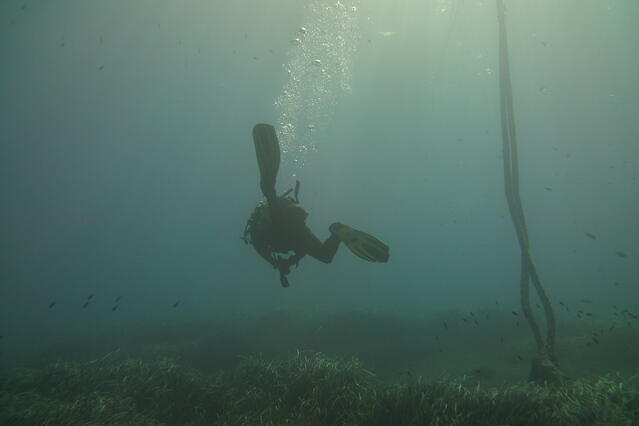 Navys Waterworld Dive Center - Dive Center in Greece