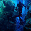 Picture taken during the dive