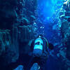 Picture taken during the dive