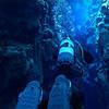Picture taken during the dive