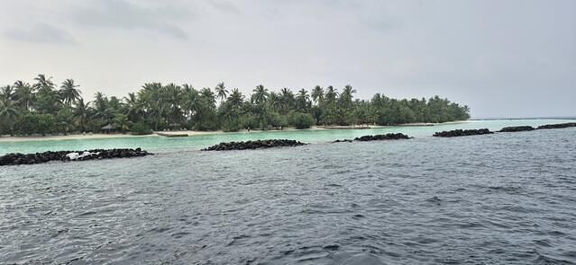 Diving in Maldives, Male Atoll - By Reza