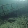Picture taken during the dive