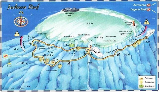 Emperor Divers And Scuba Schools - Dive Center in Egypt