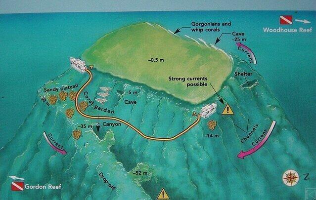 Emperor Divers And Scuba Schools - Dive Center in Egypt
