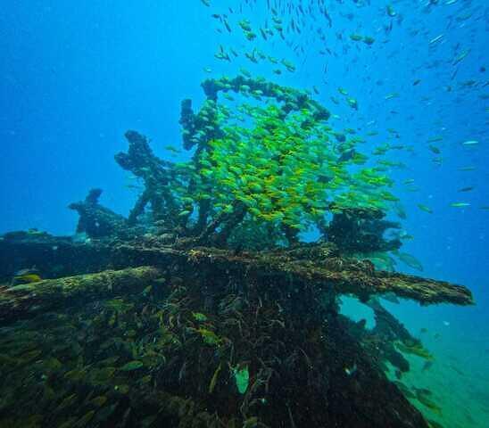 #
