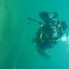 Picture taken during the dive
