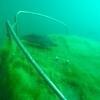 Picture taken during the dive