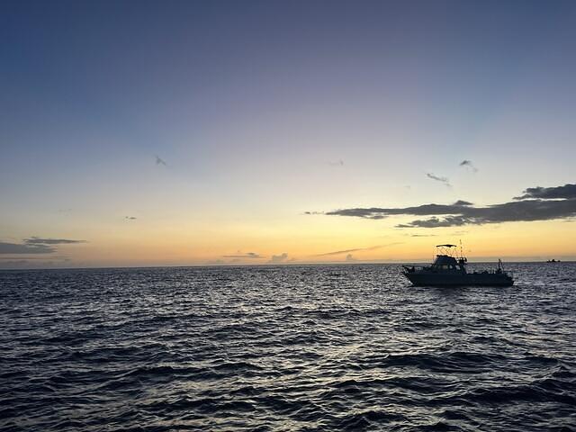 Kona Honu Divers, Inc. - Dive Center in United States