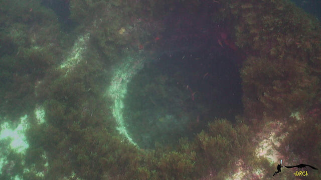 Ocean Addicts - Dive Center in Spain