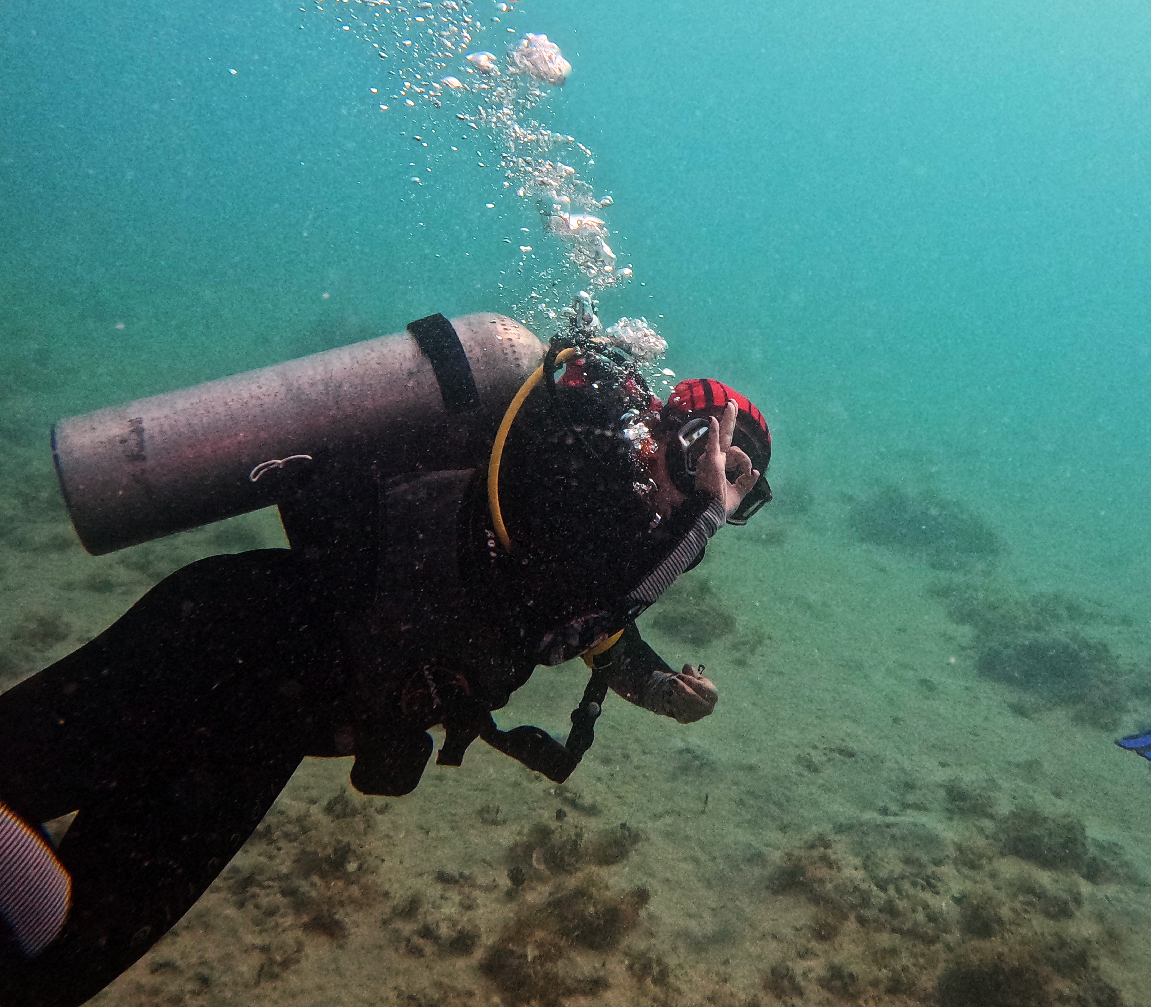 Picture taken during the dive