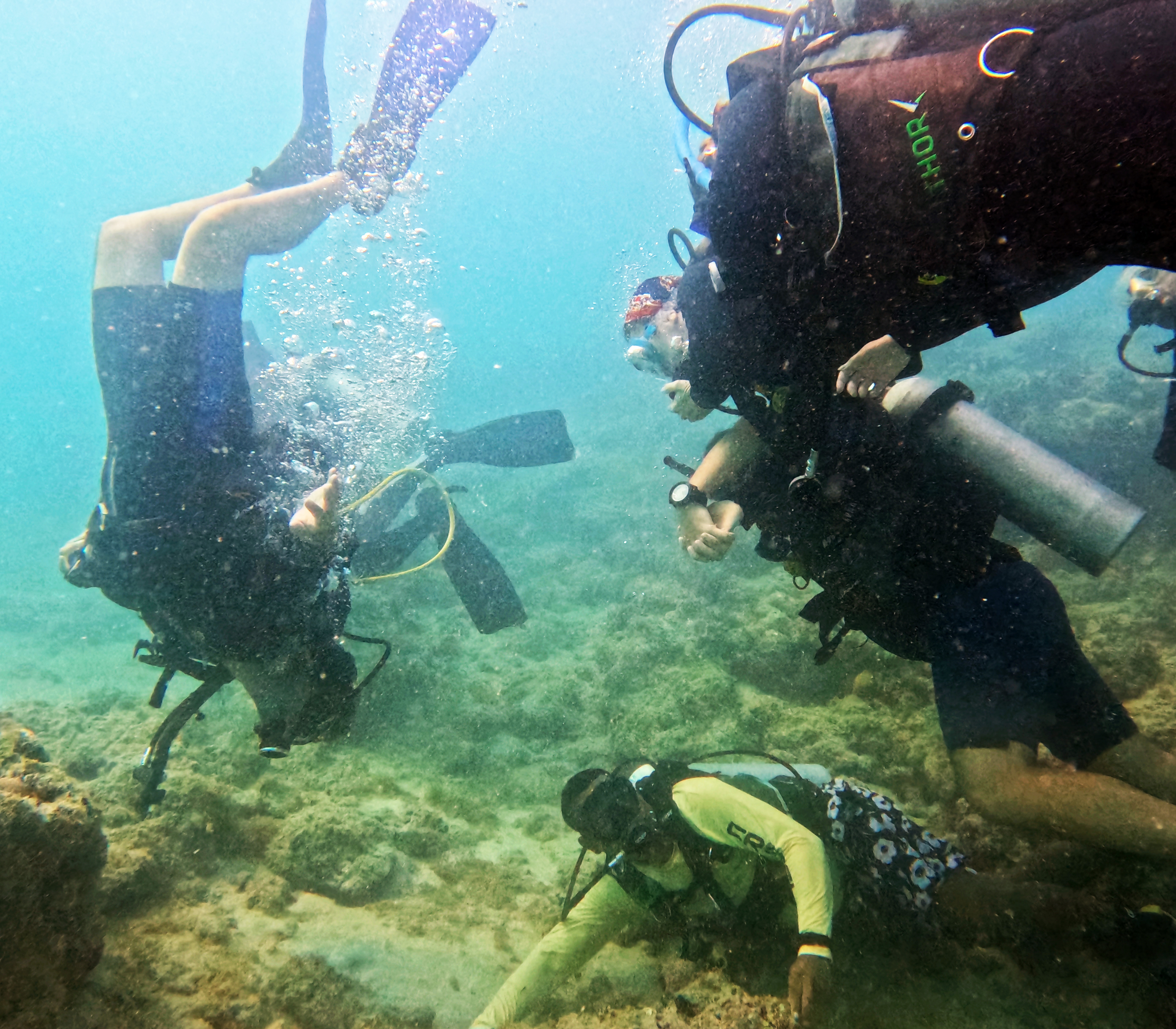 Picture taken during the dive