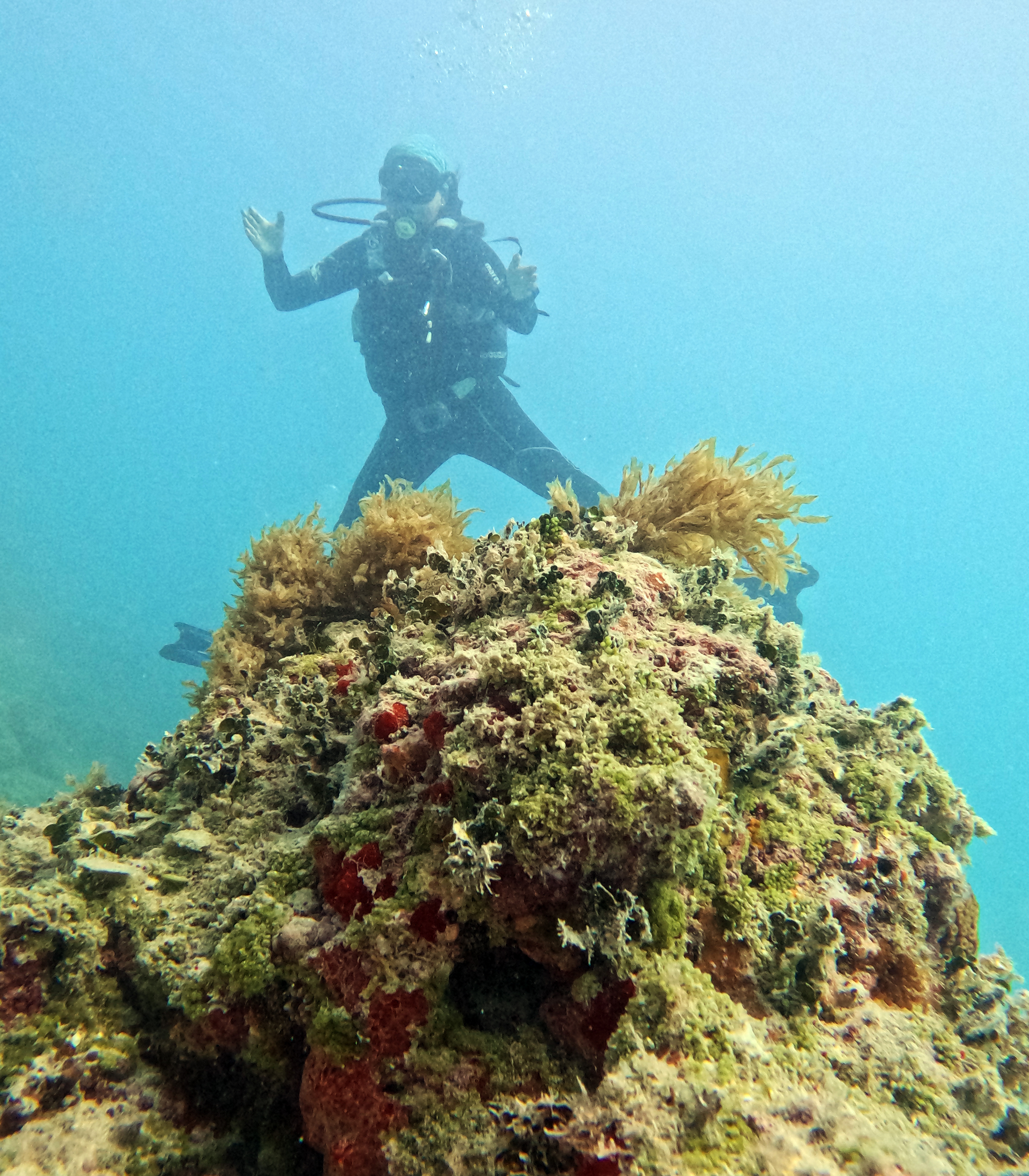 Picture taken during the dive