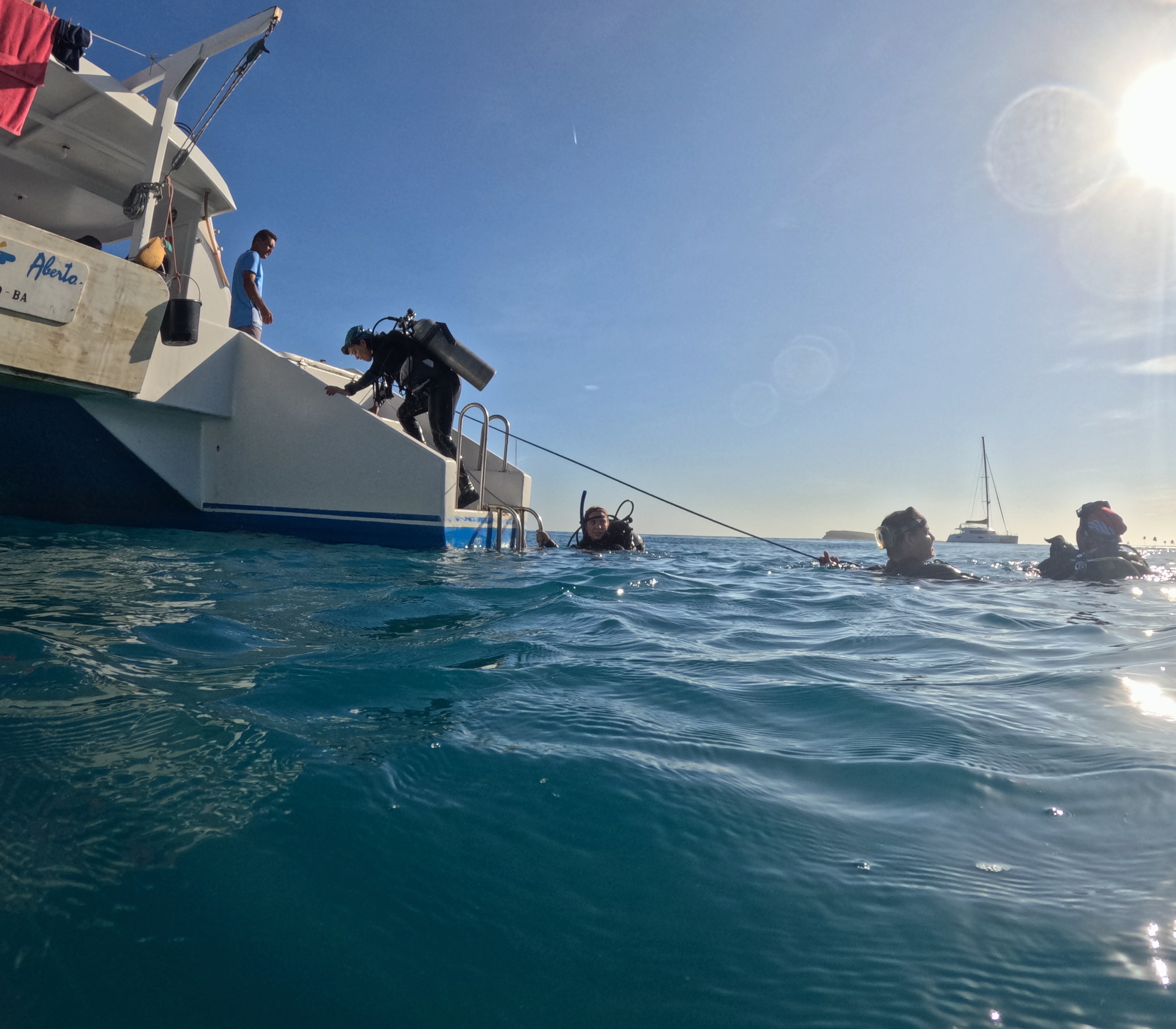 Picture taken during the dive