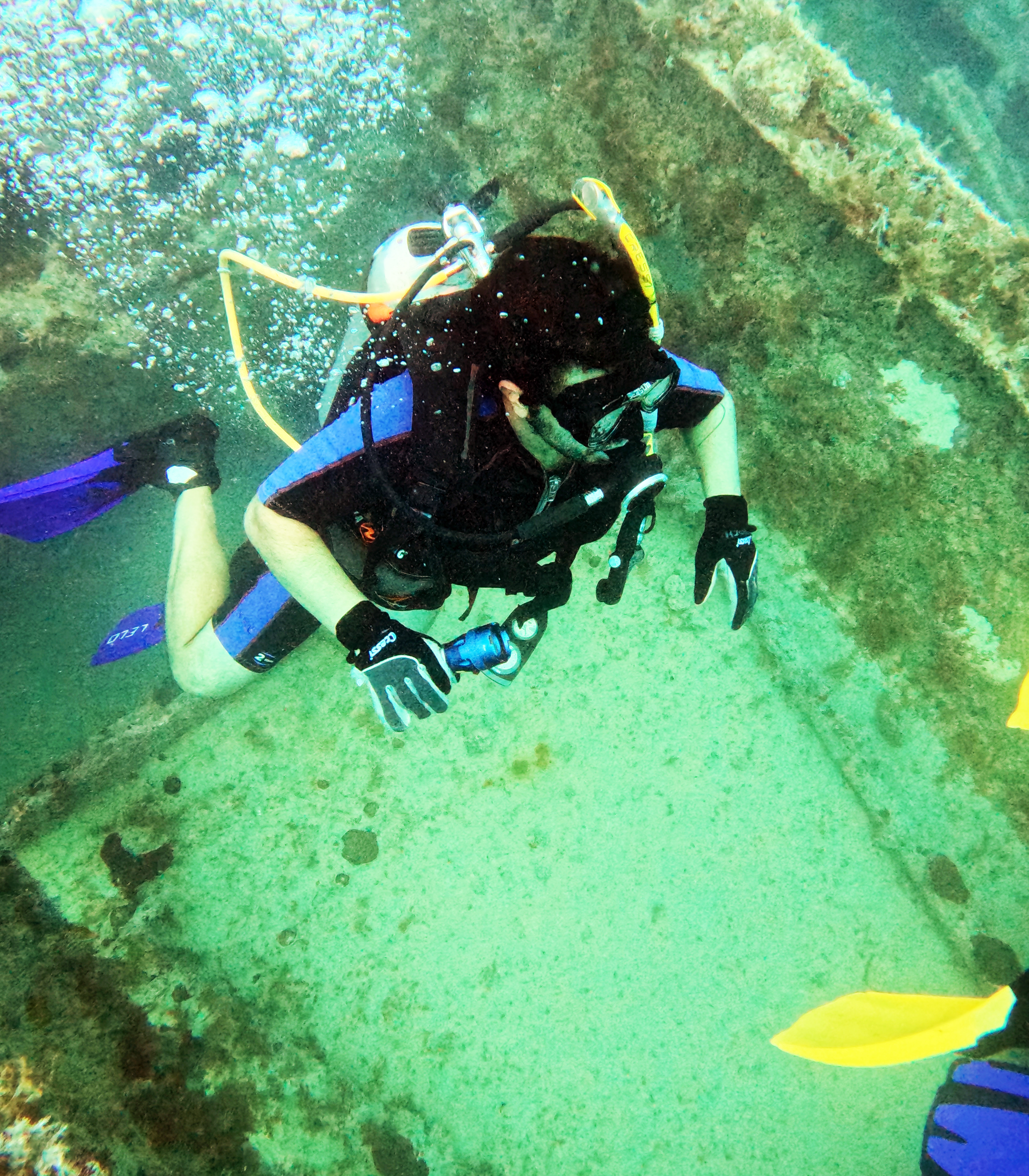 Picture taken during the dive