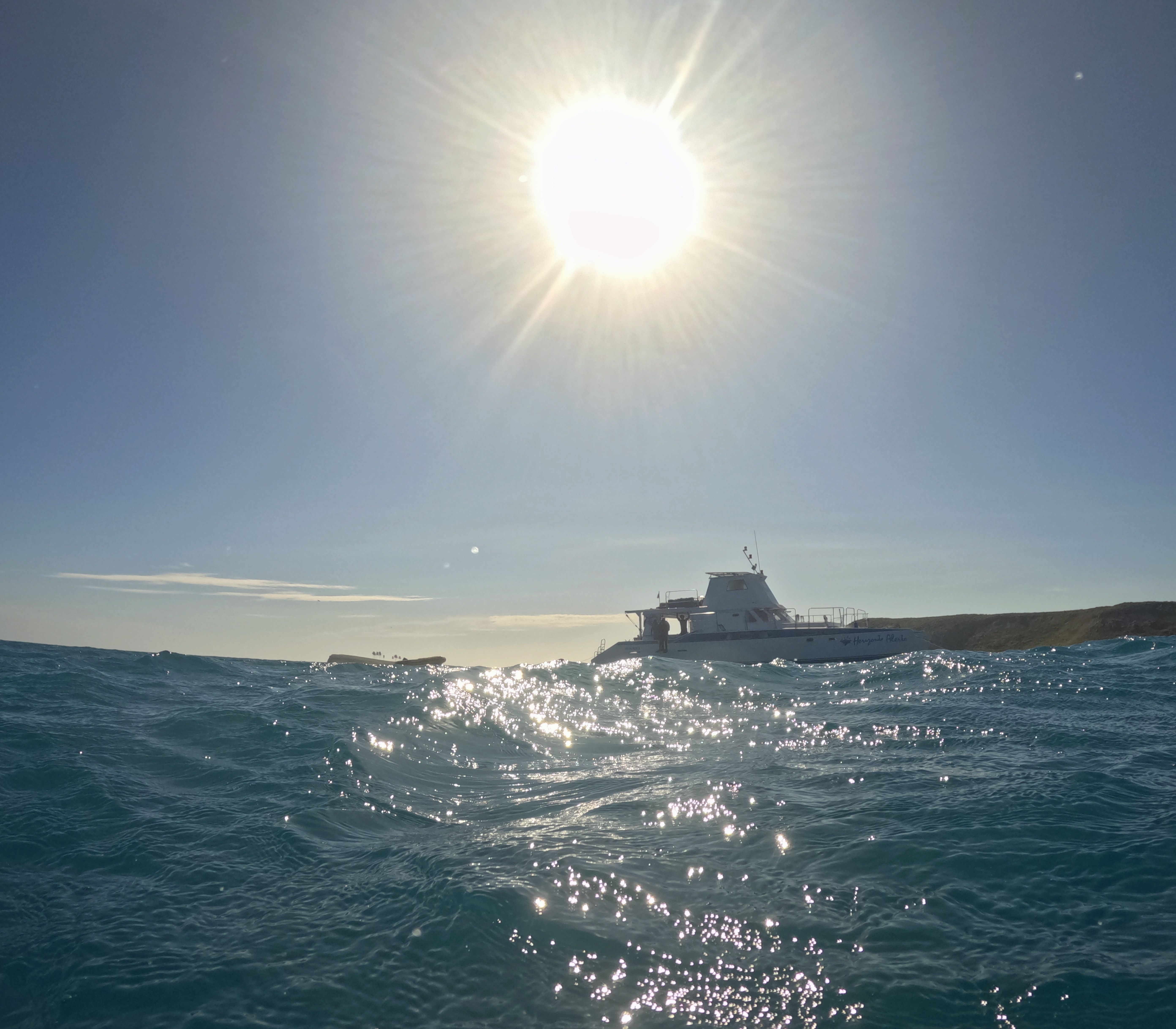 Picture taken during the dive