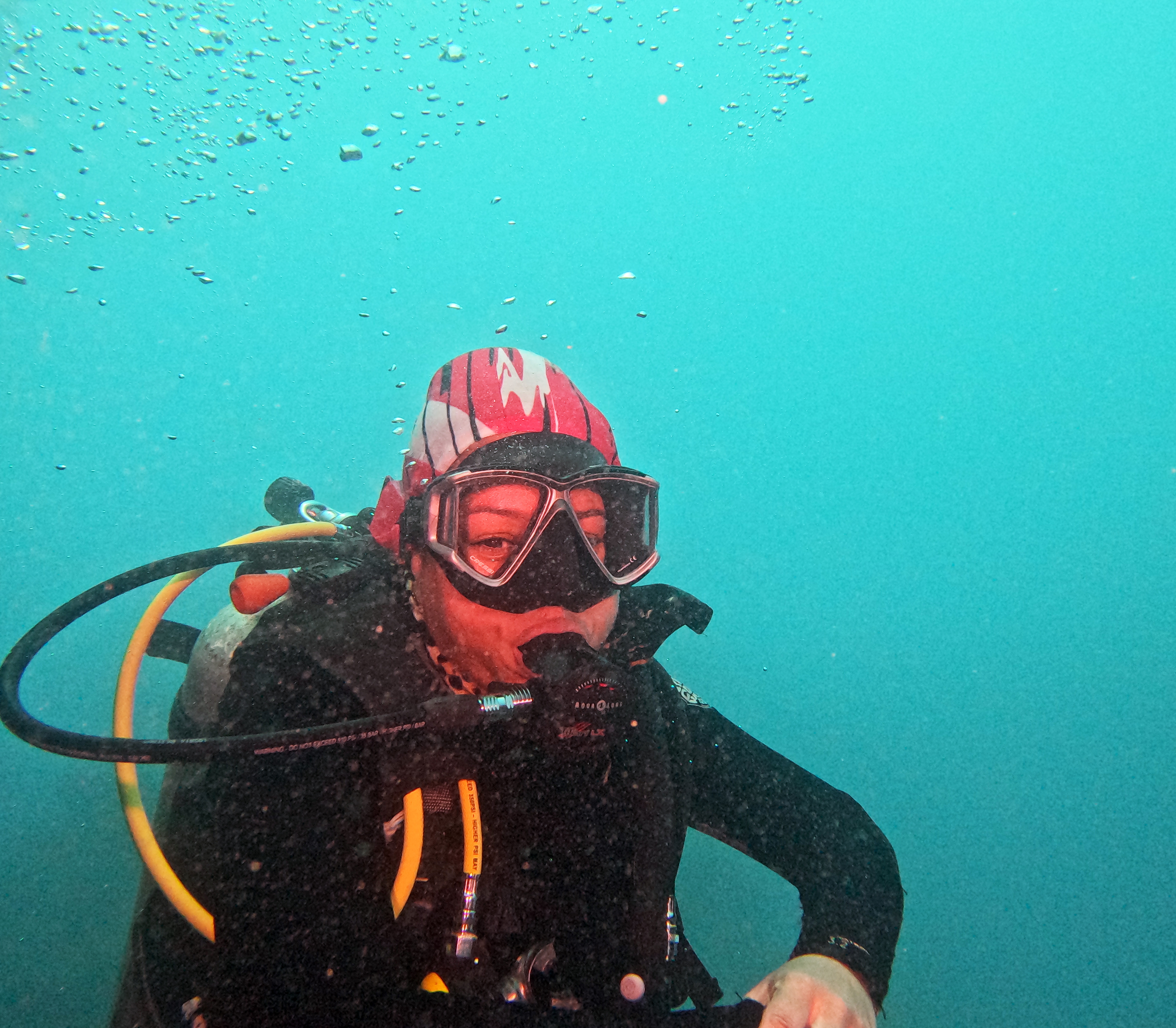 Picture taken during the dive