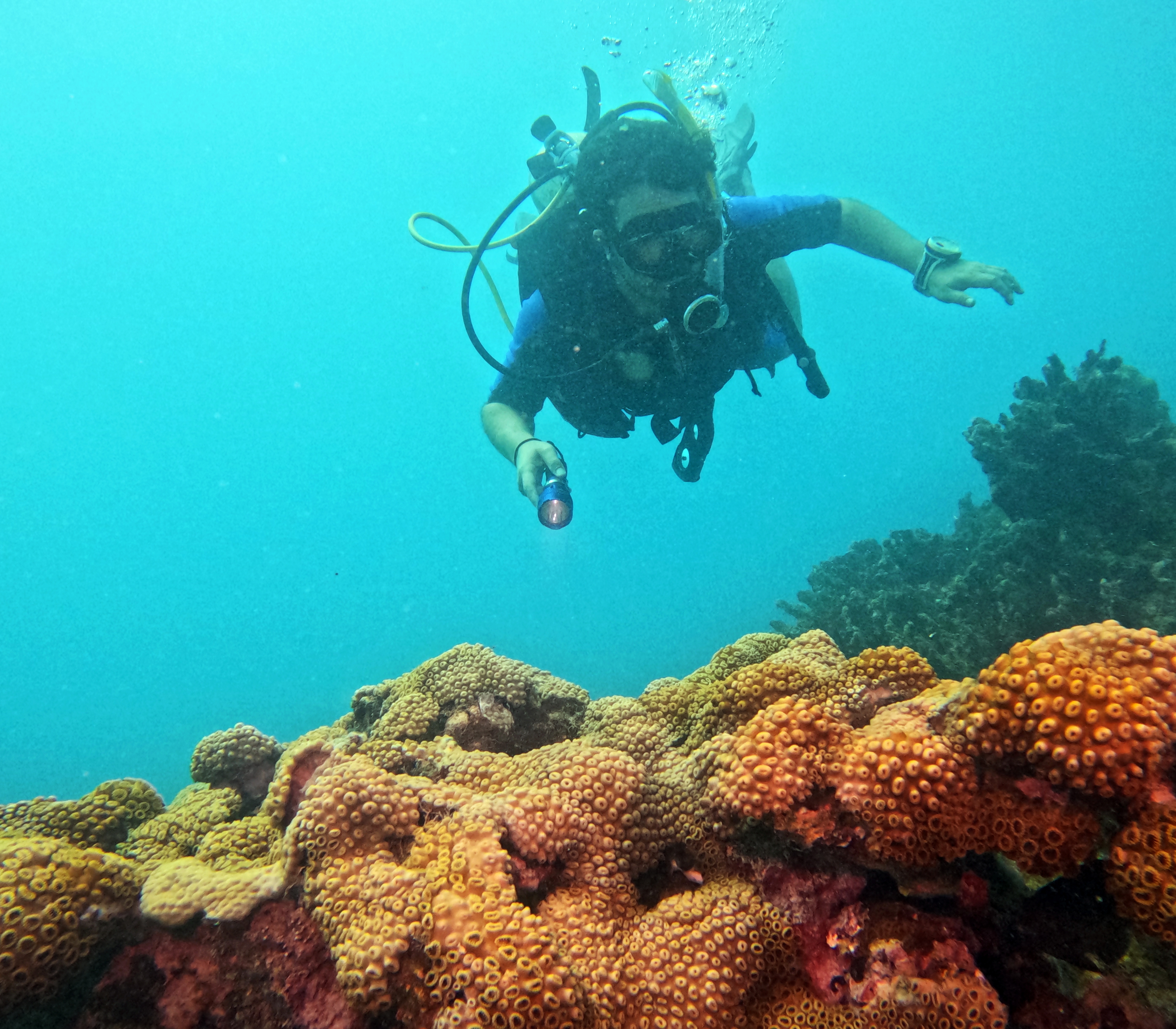 Picture taken during the dive