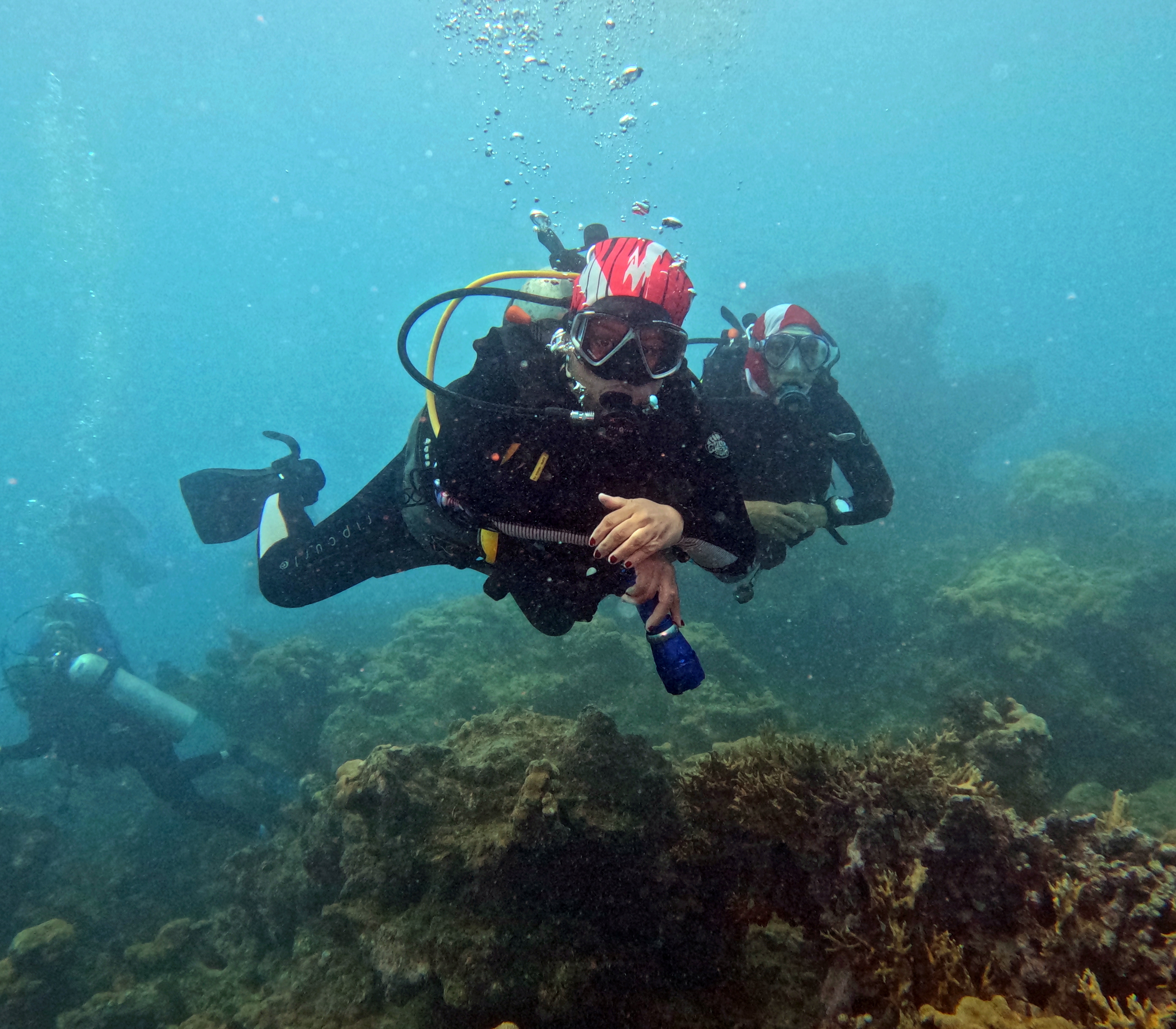 Picture taken during the dive