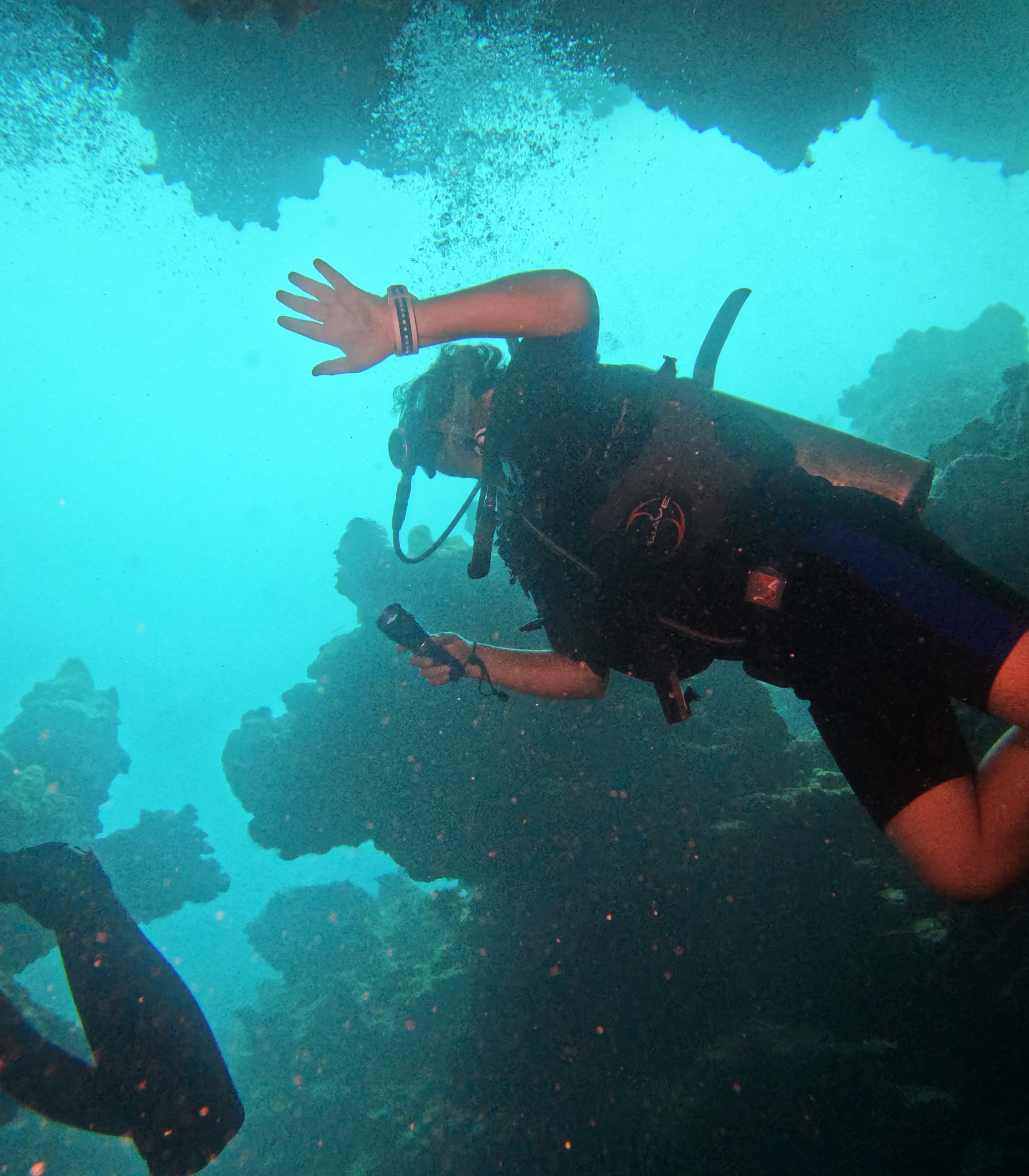 Picture taken during the dive