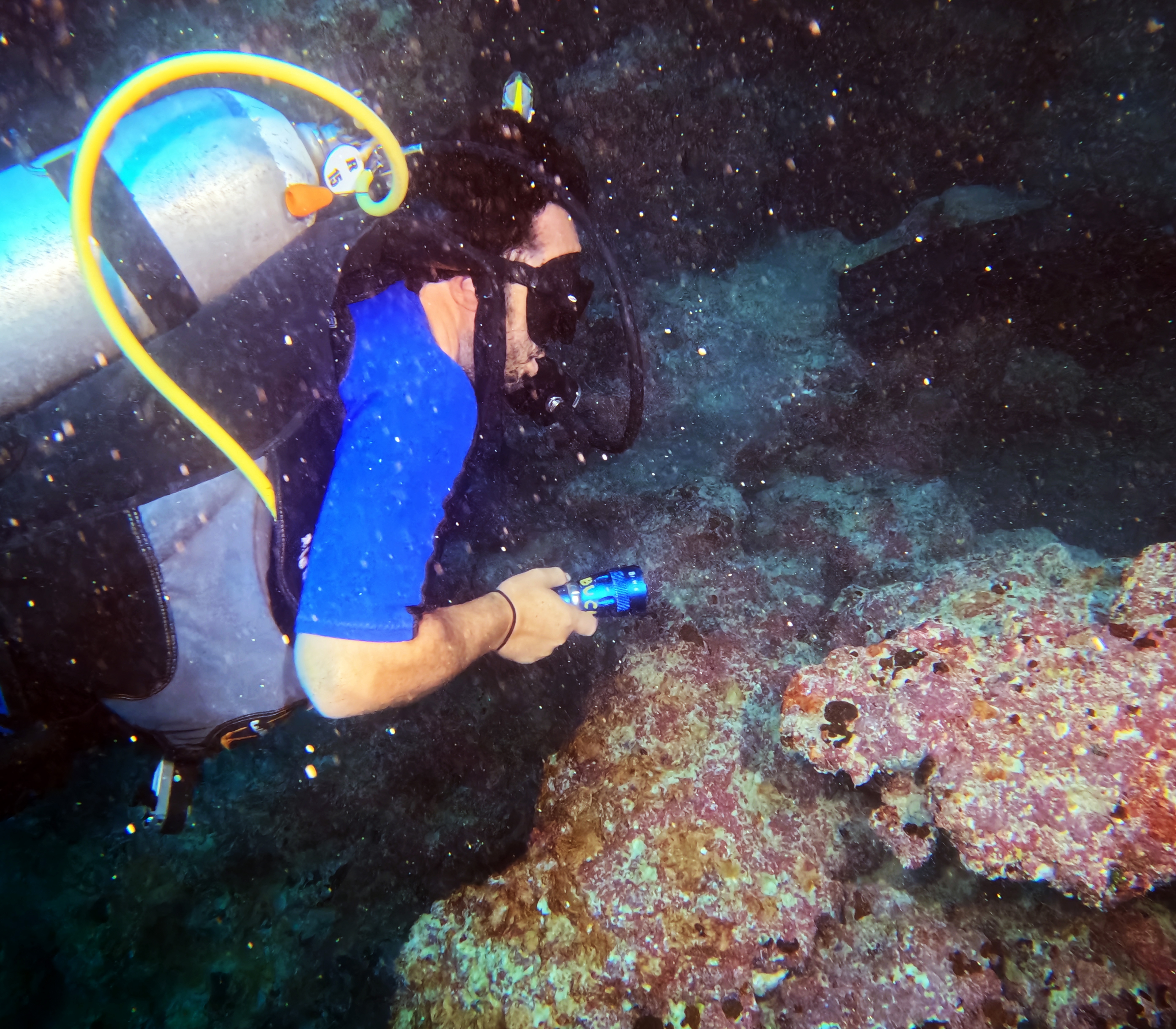 Picture taken during the dive