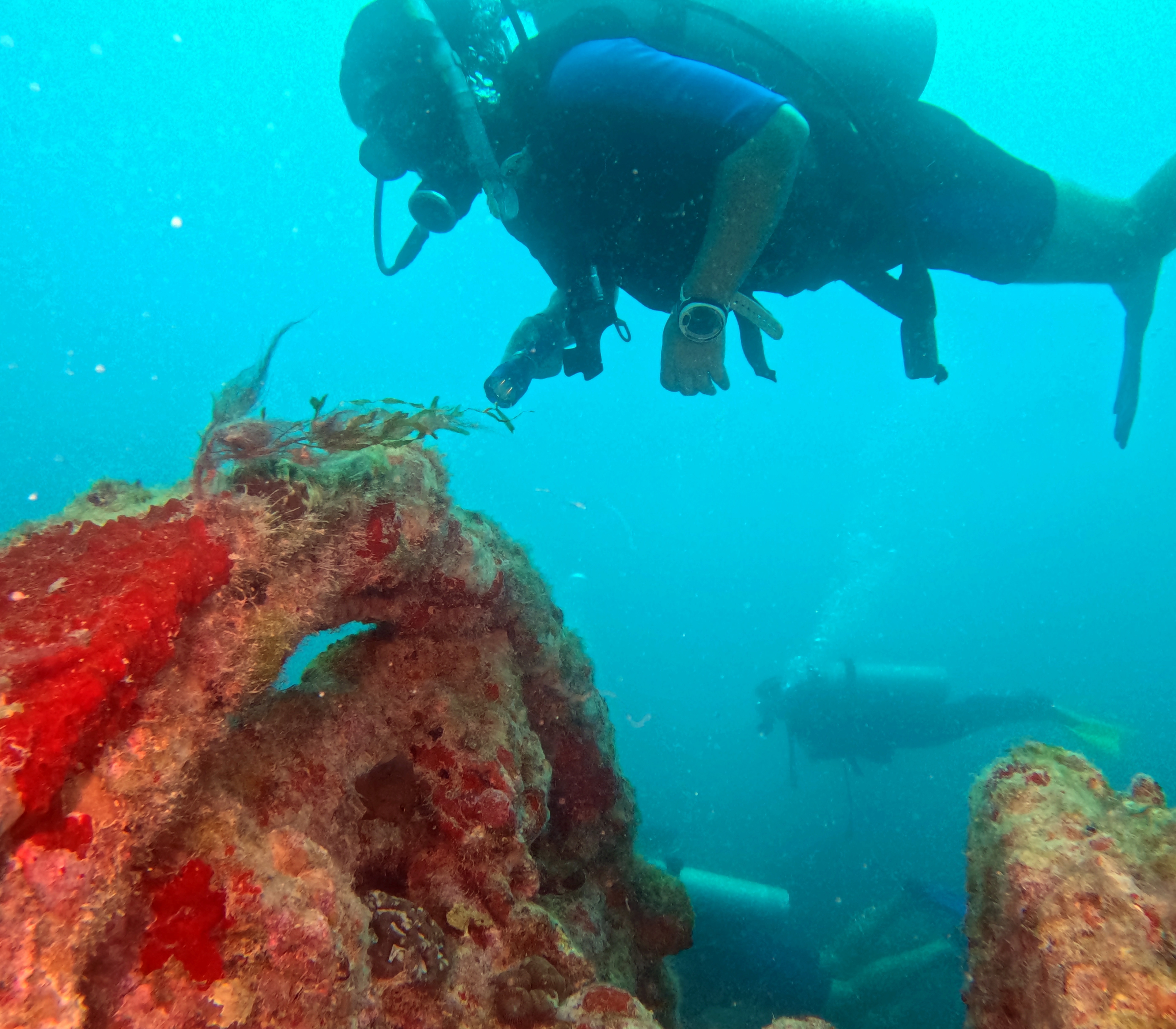 Picture taken during the dive