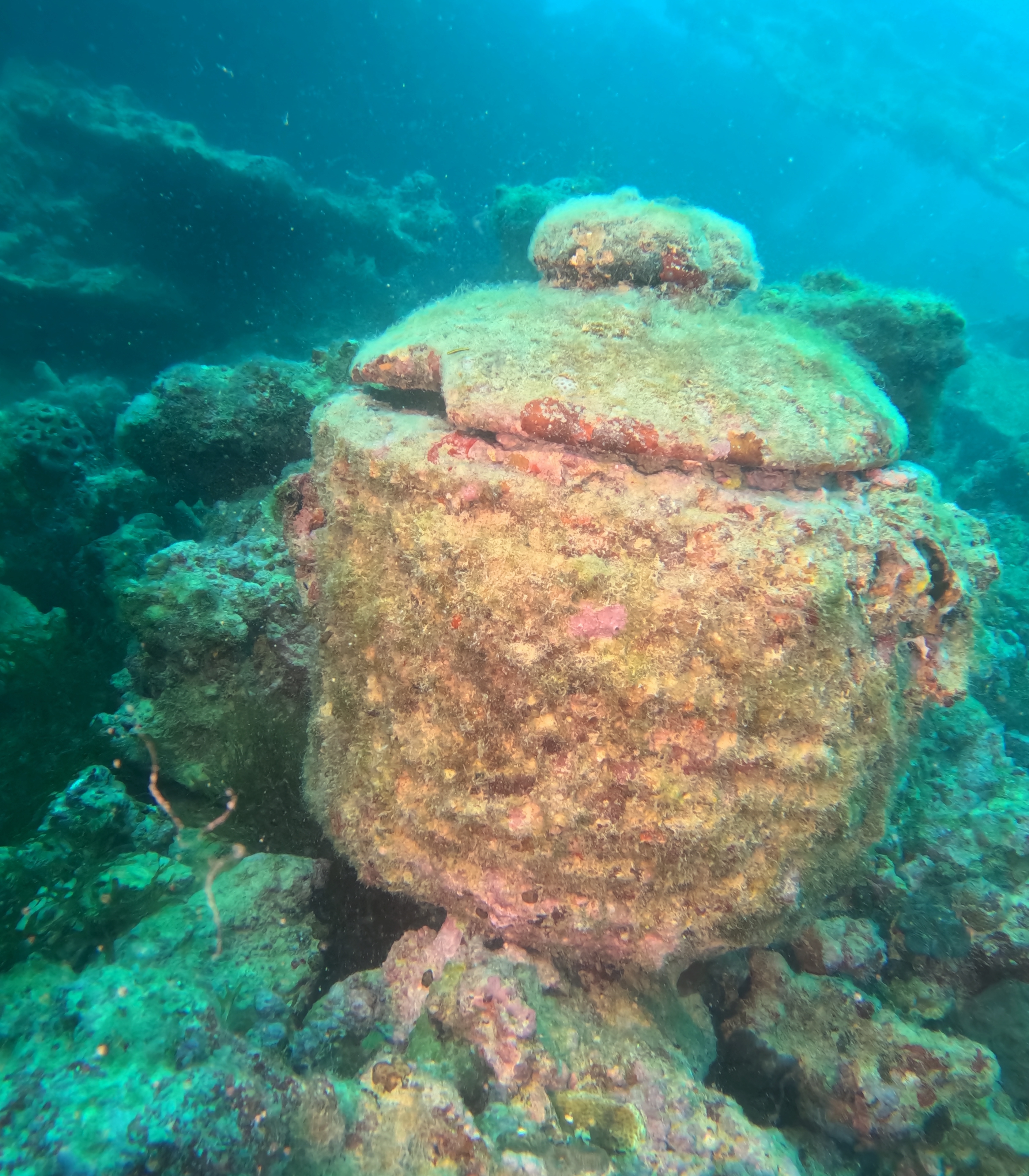 Picture taken during the dive