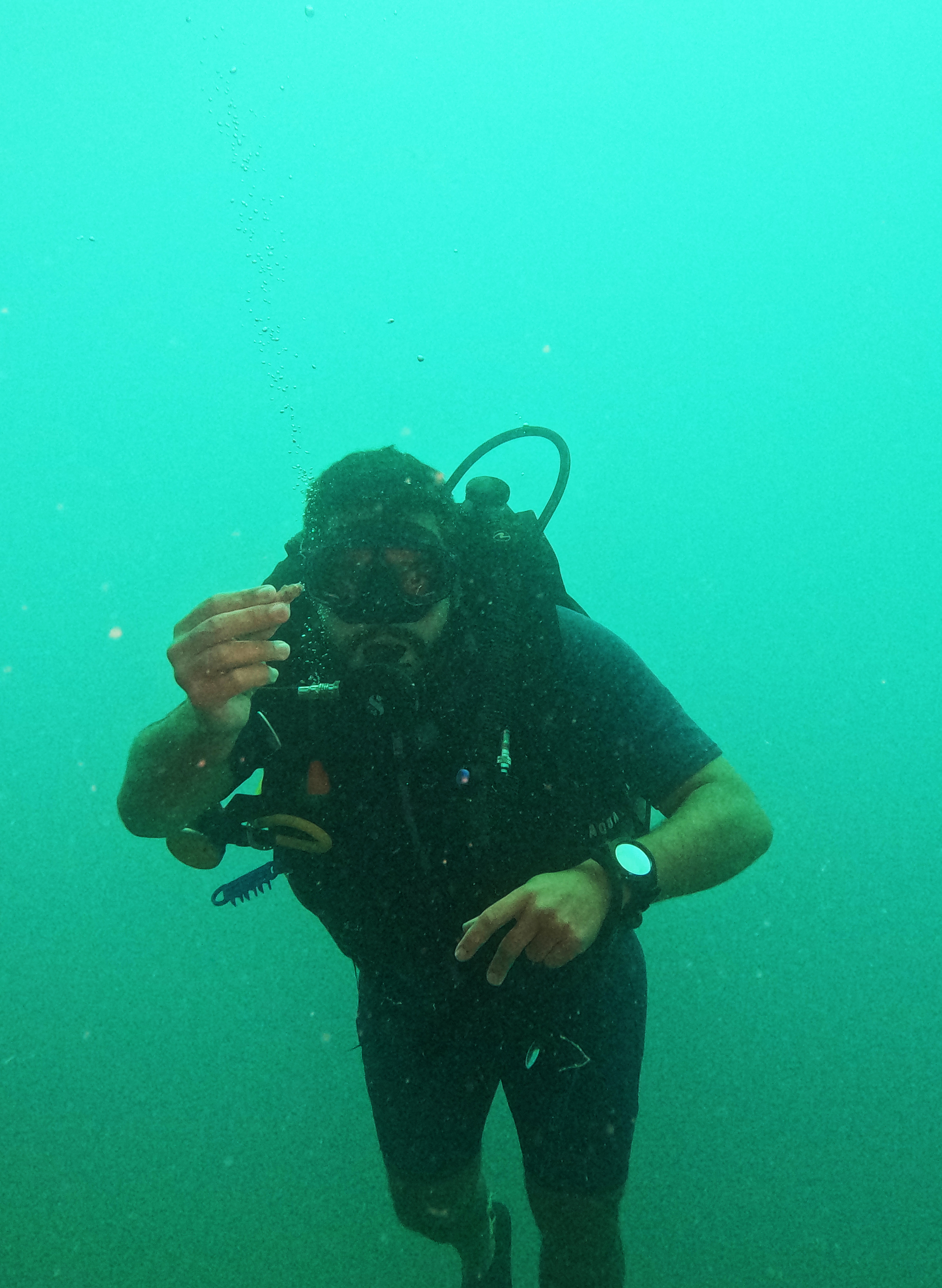 Picture taken during the dive