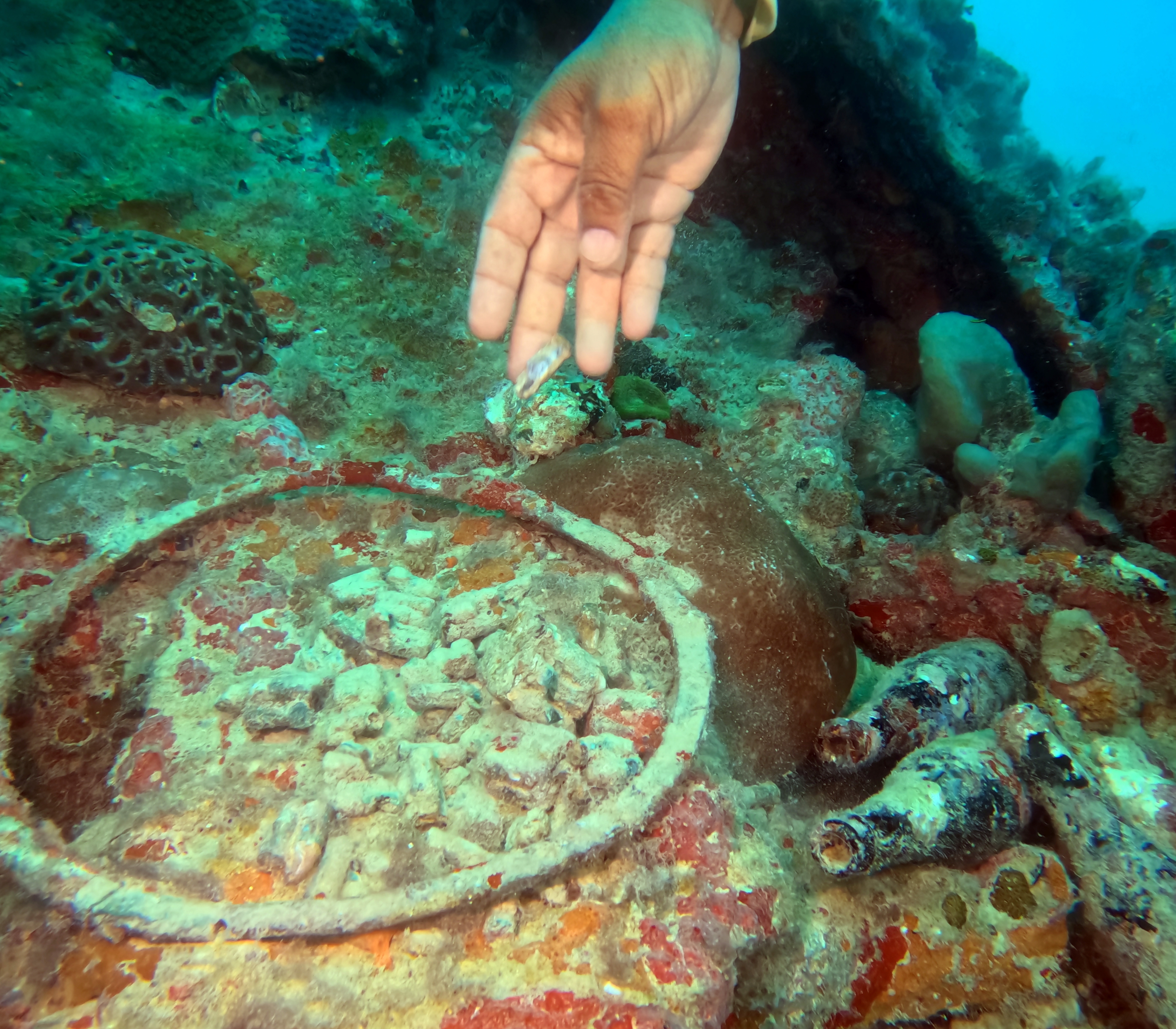 Picture taken during the dive