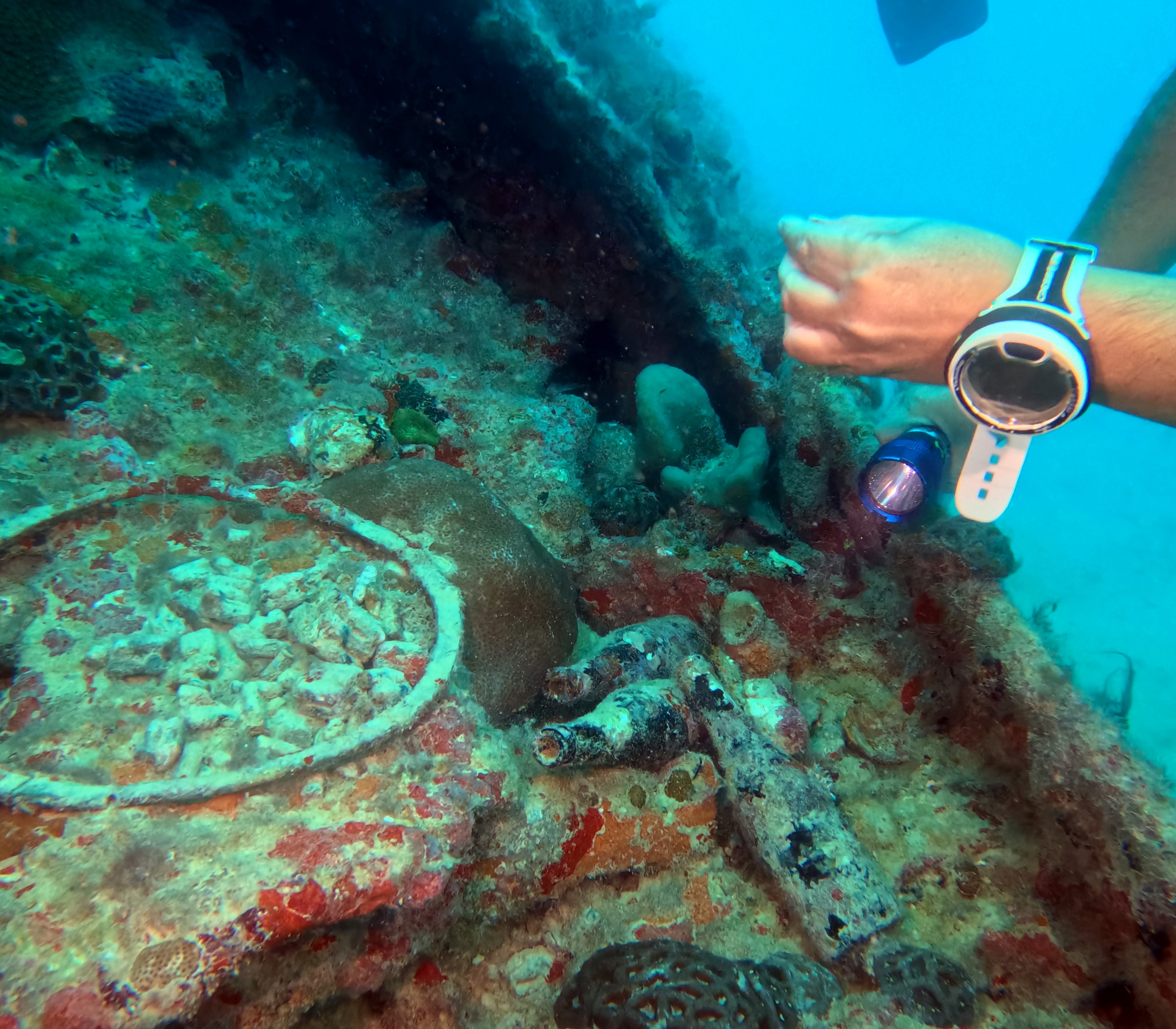 Picture taken during the dive