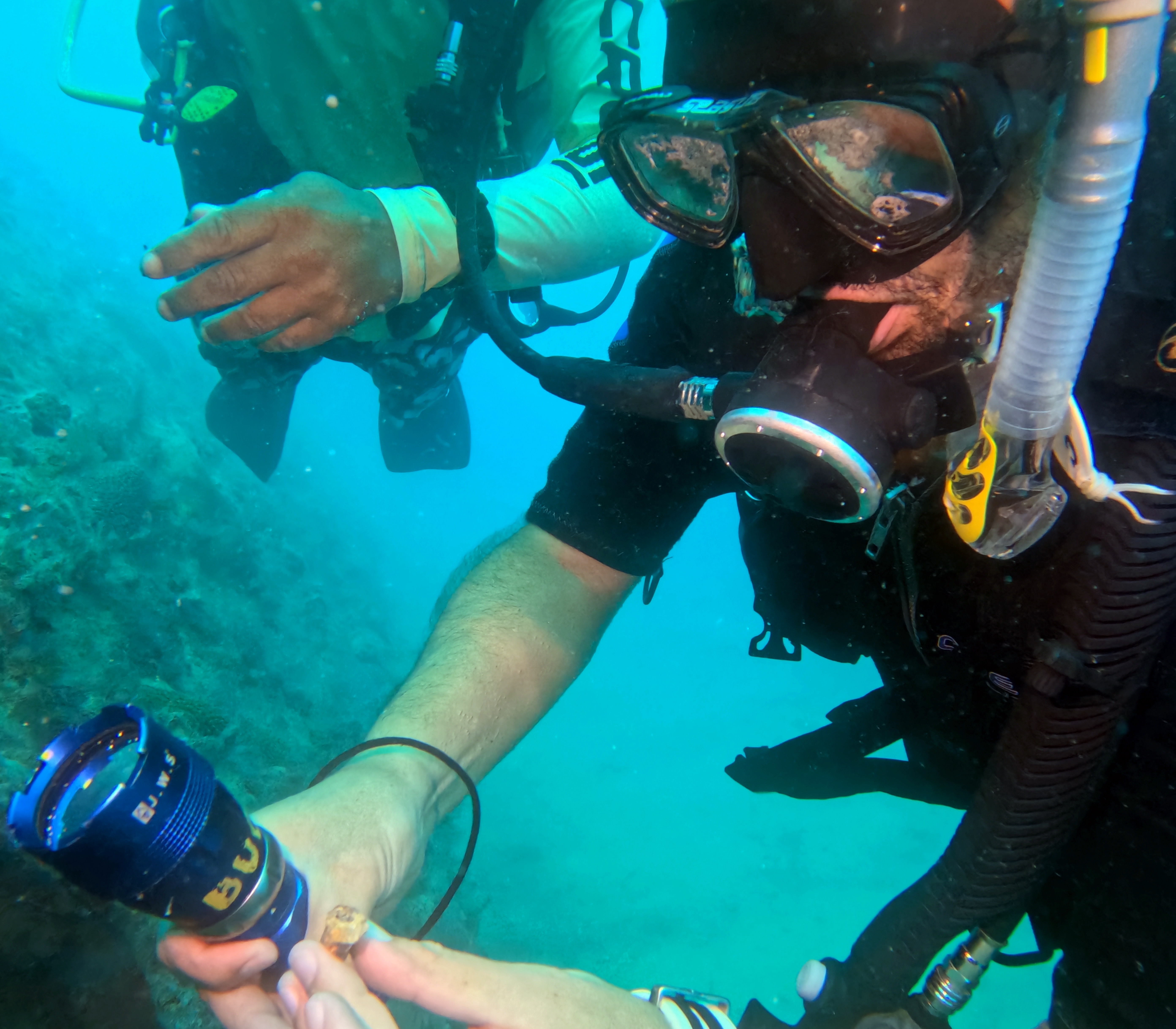 Picture taken during the dive