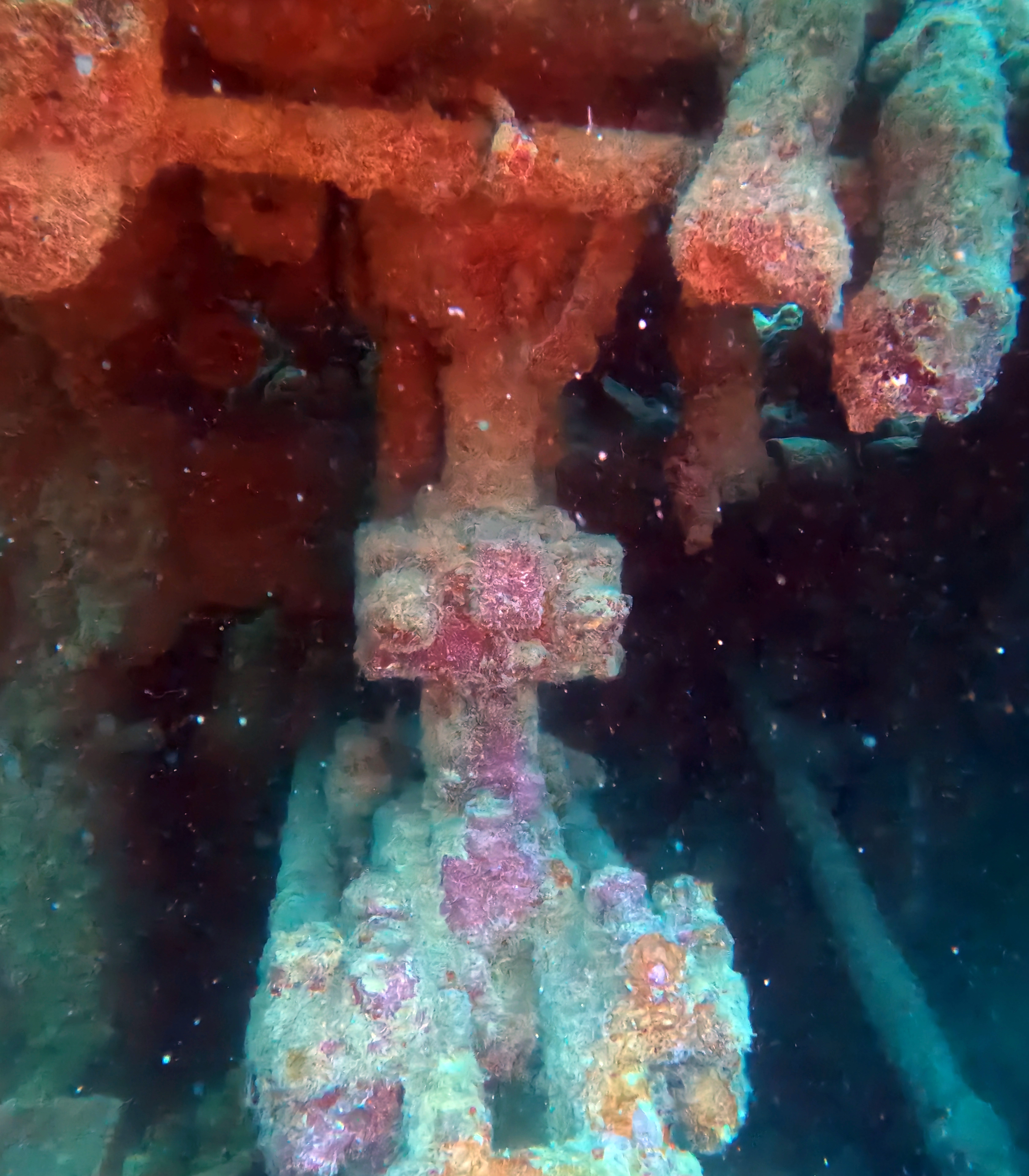 Picture taken during the dive
