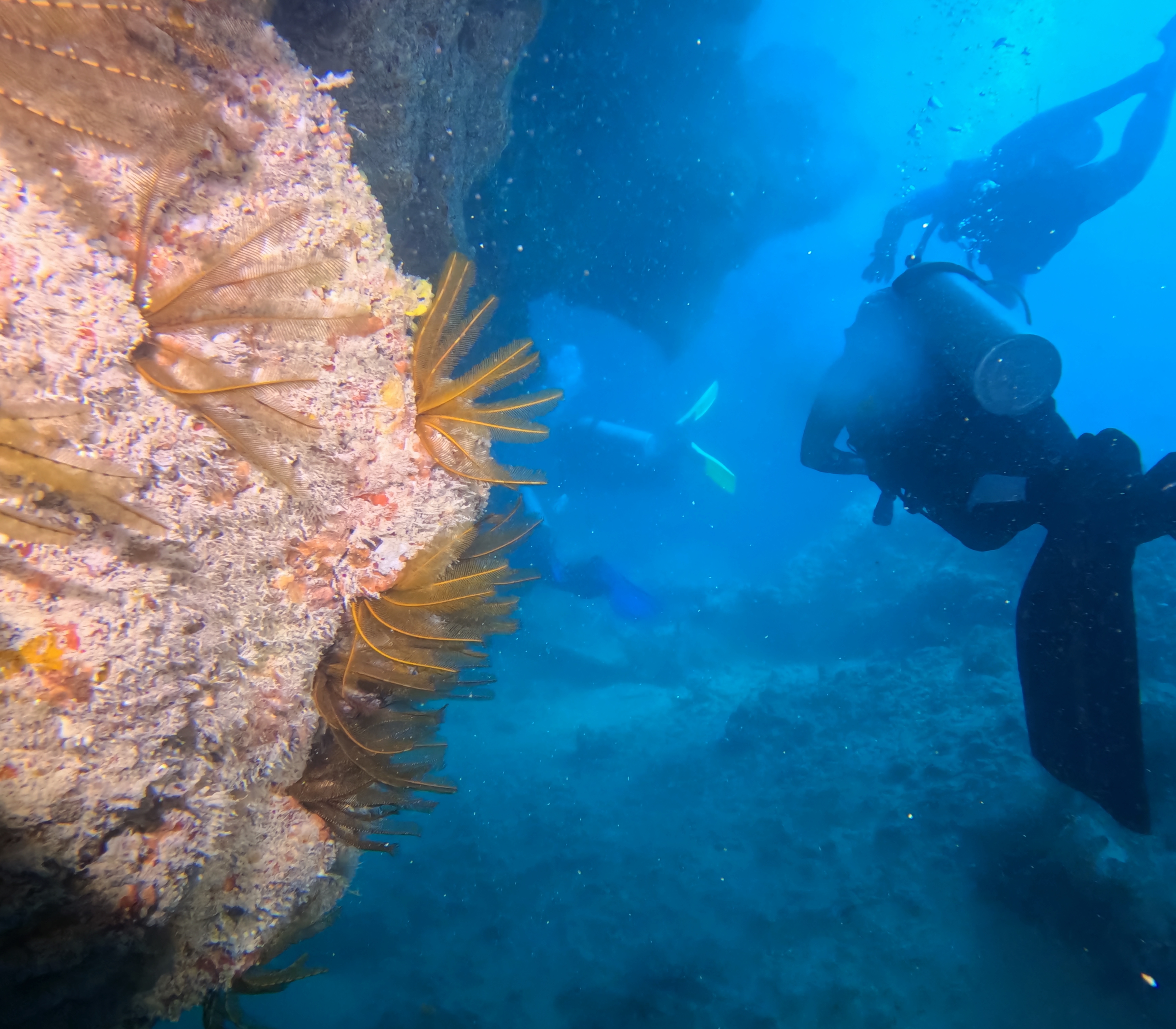 Picture taken during the dive