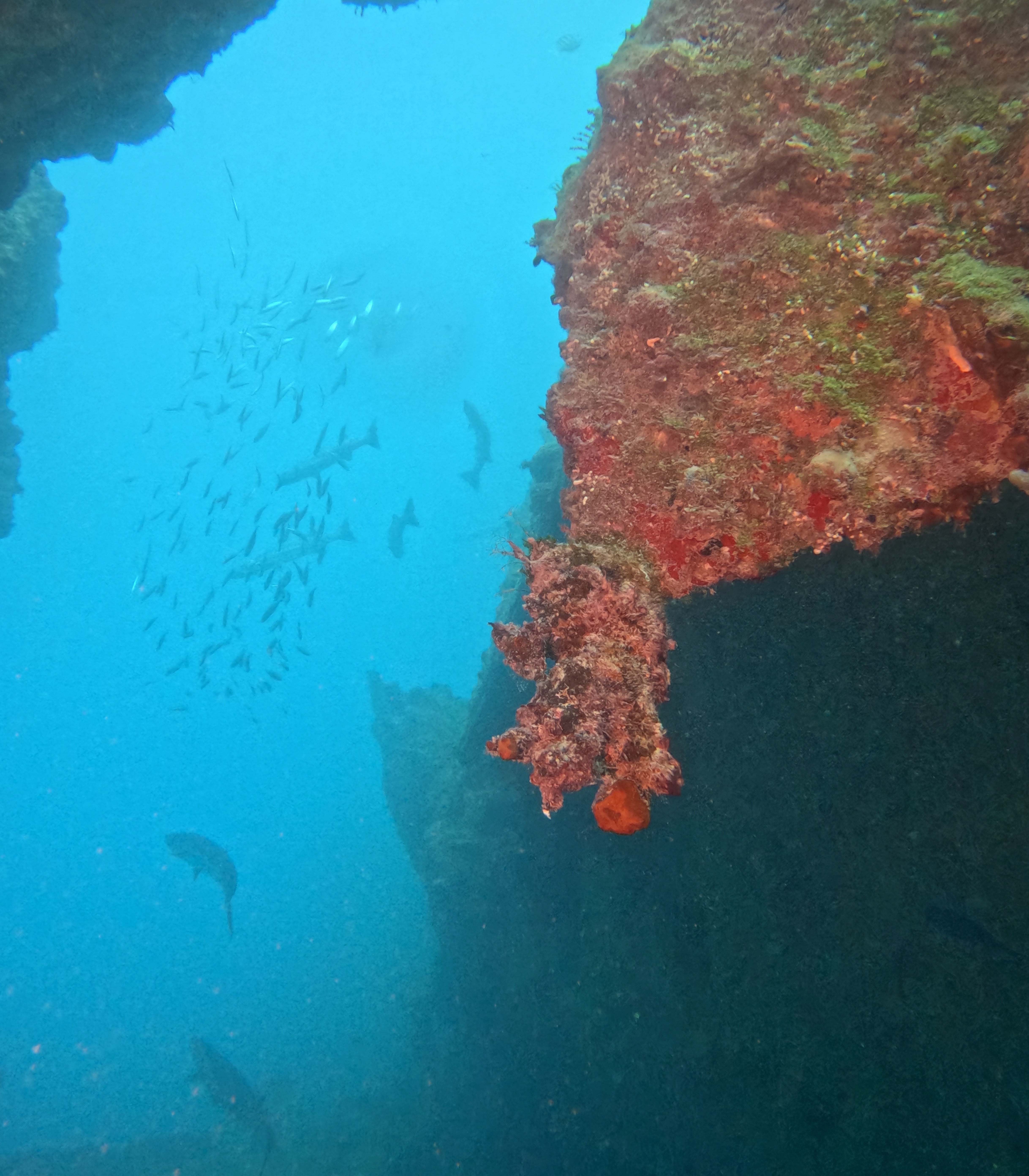 Picture taken during the dive