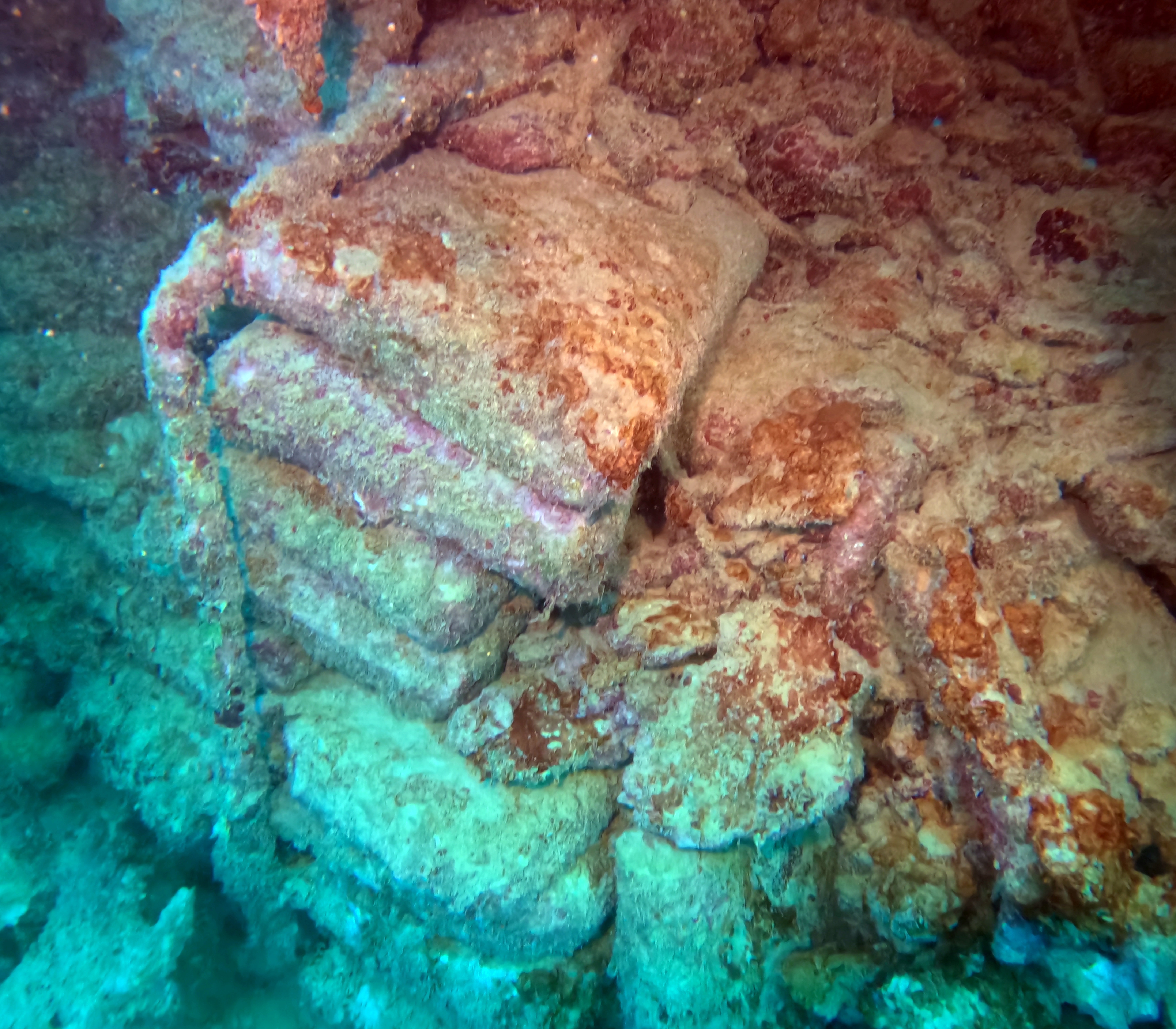 Picture taken during the dive