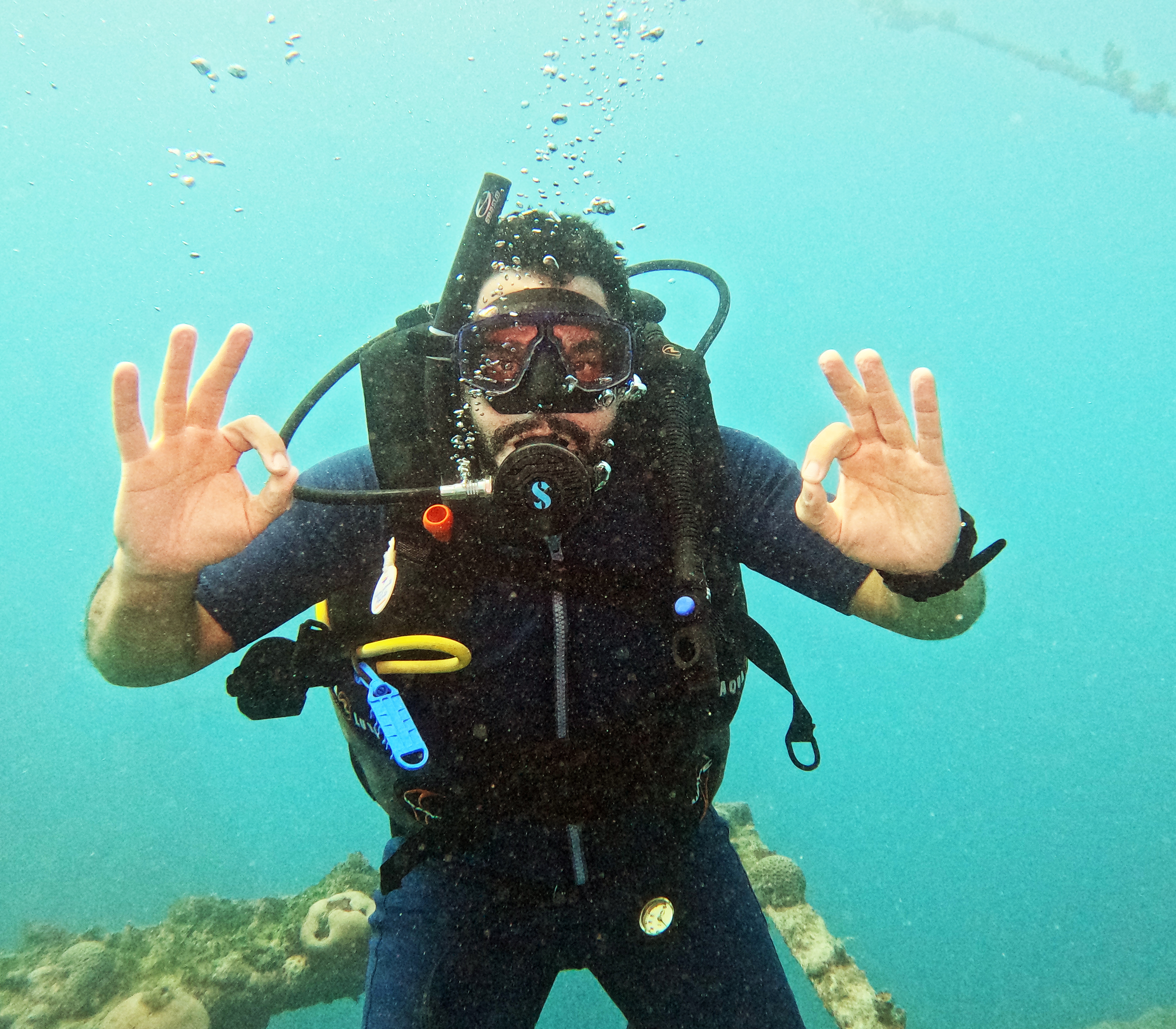 Picture taken during the dive
