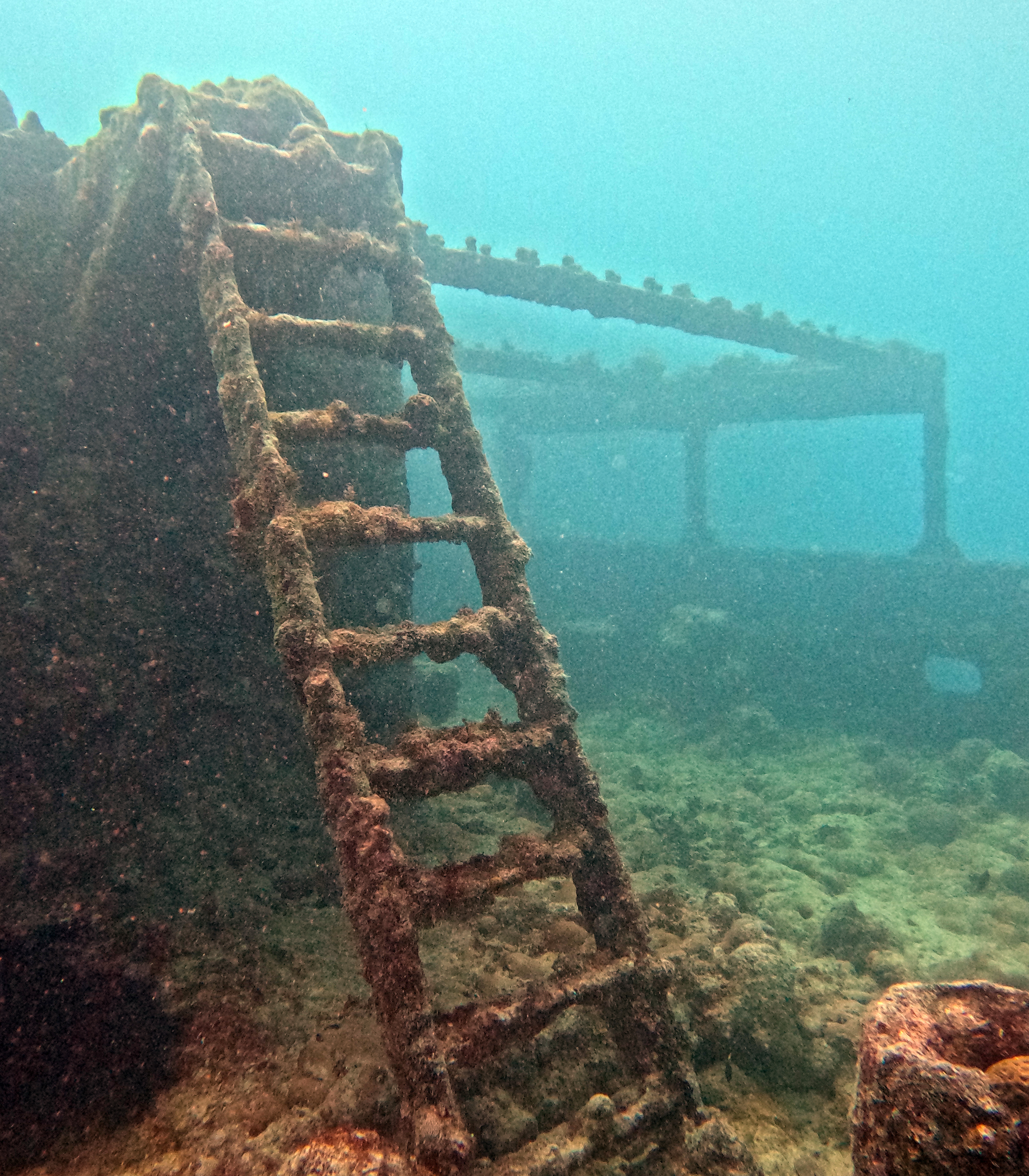 Picture taken during the dive