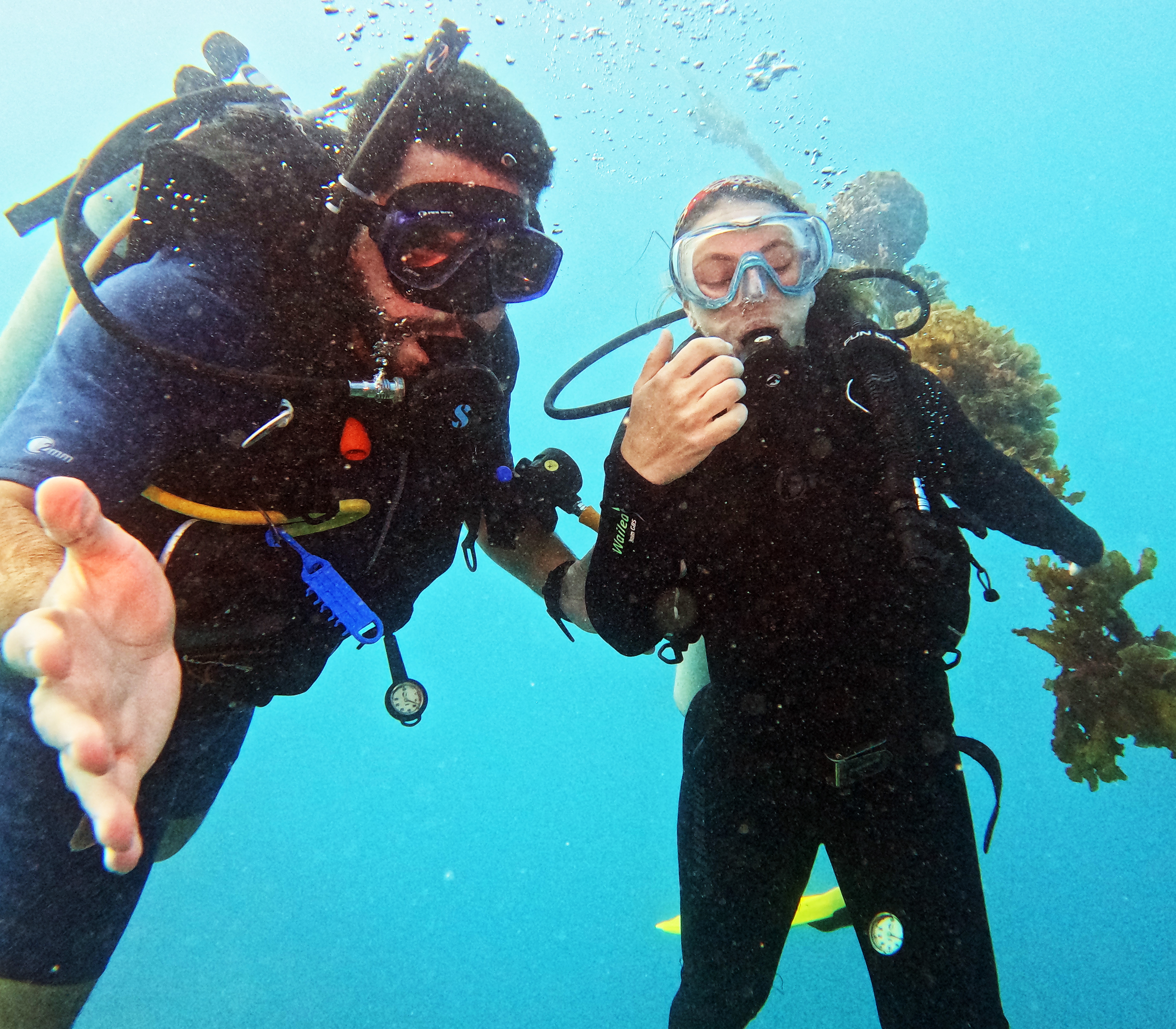 Picture taken during the dive