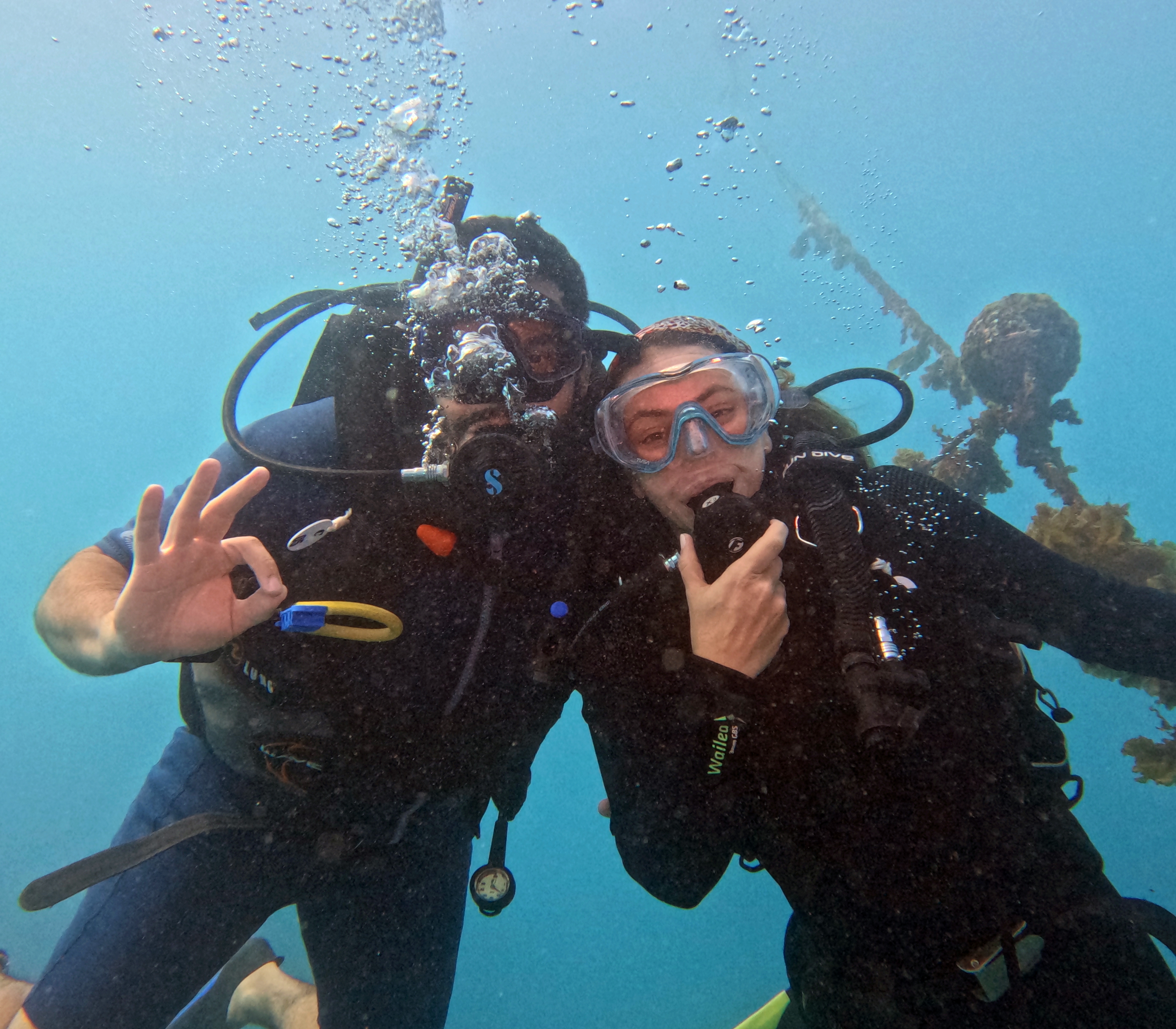 Picture taken during the dive