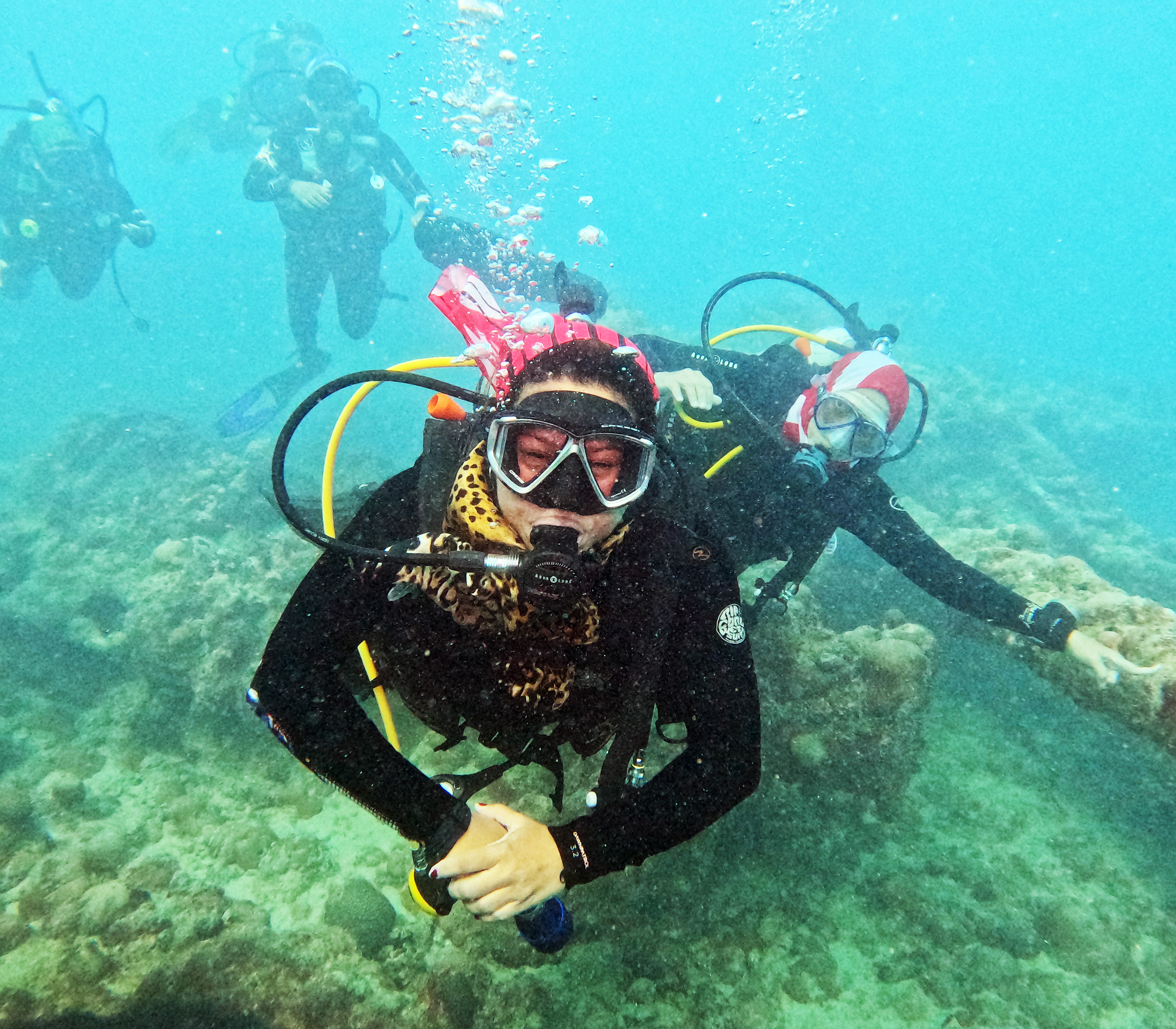 Picture taken during the dive