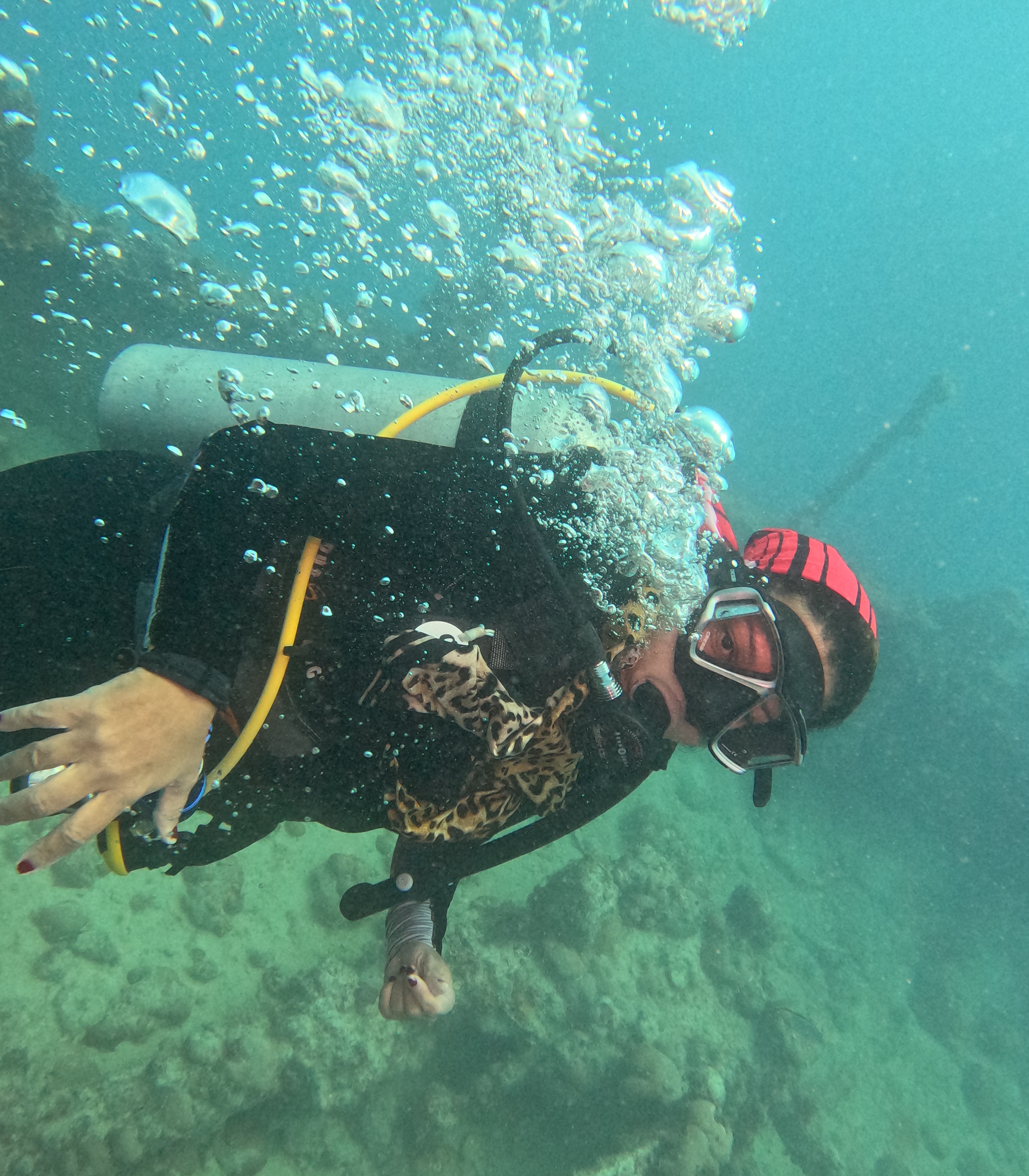 Picture taken during the dive