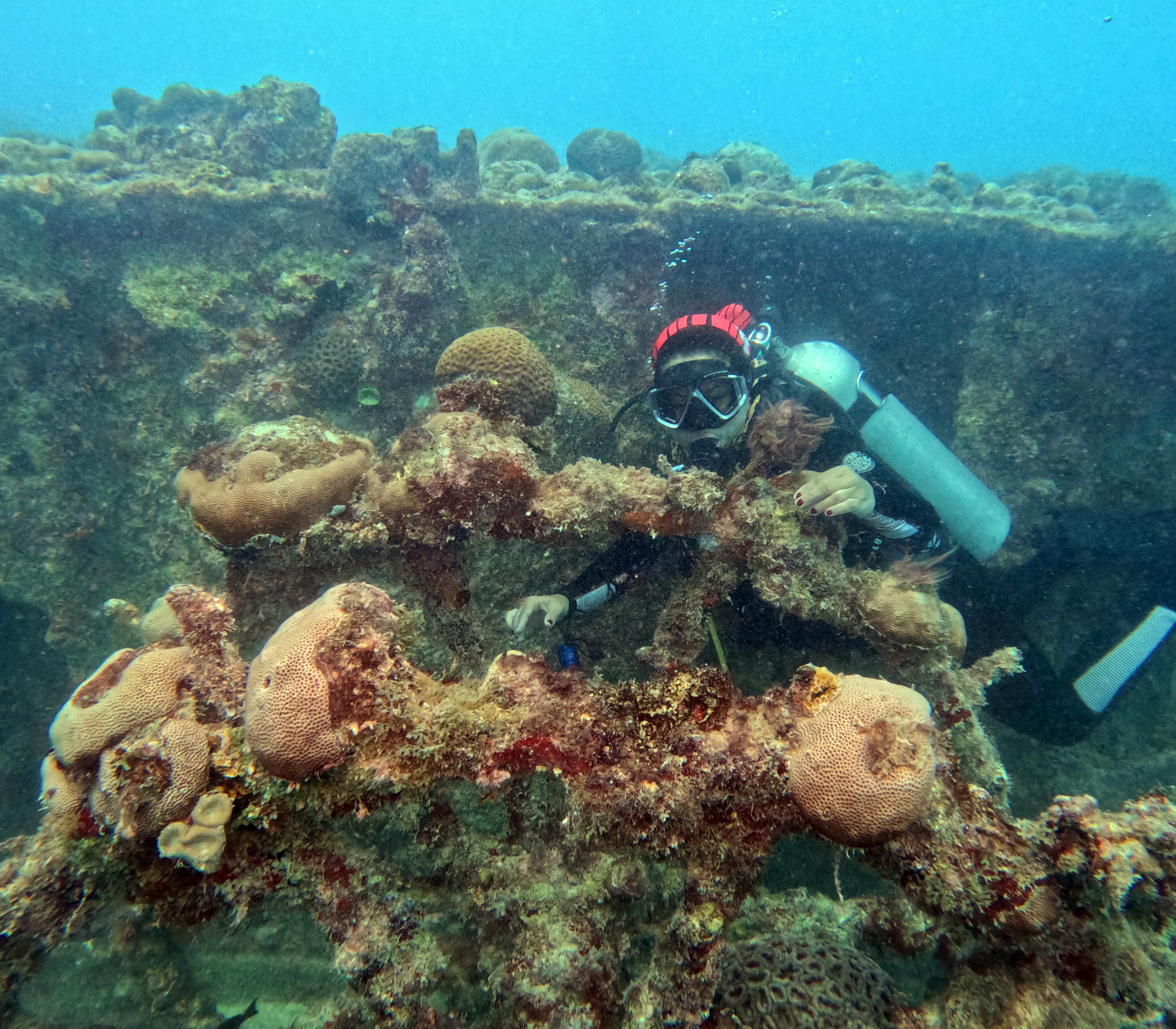 Picture taken during the dive
