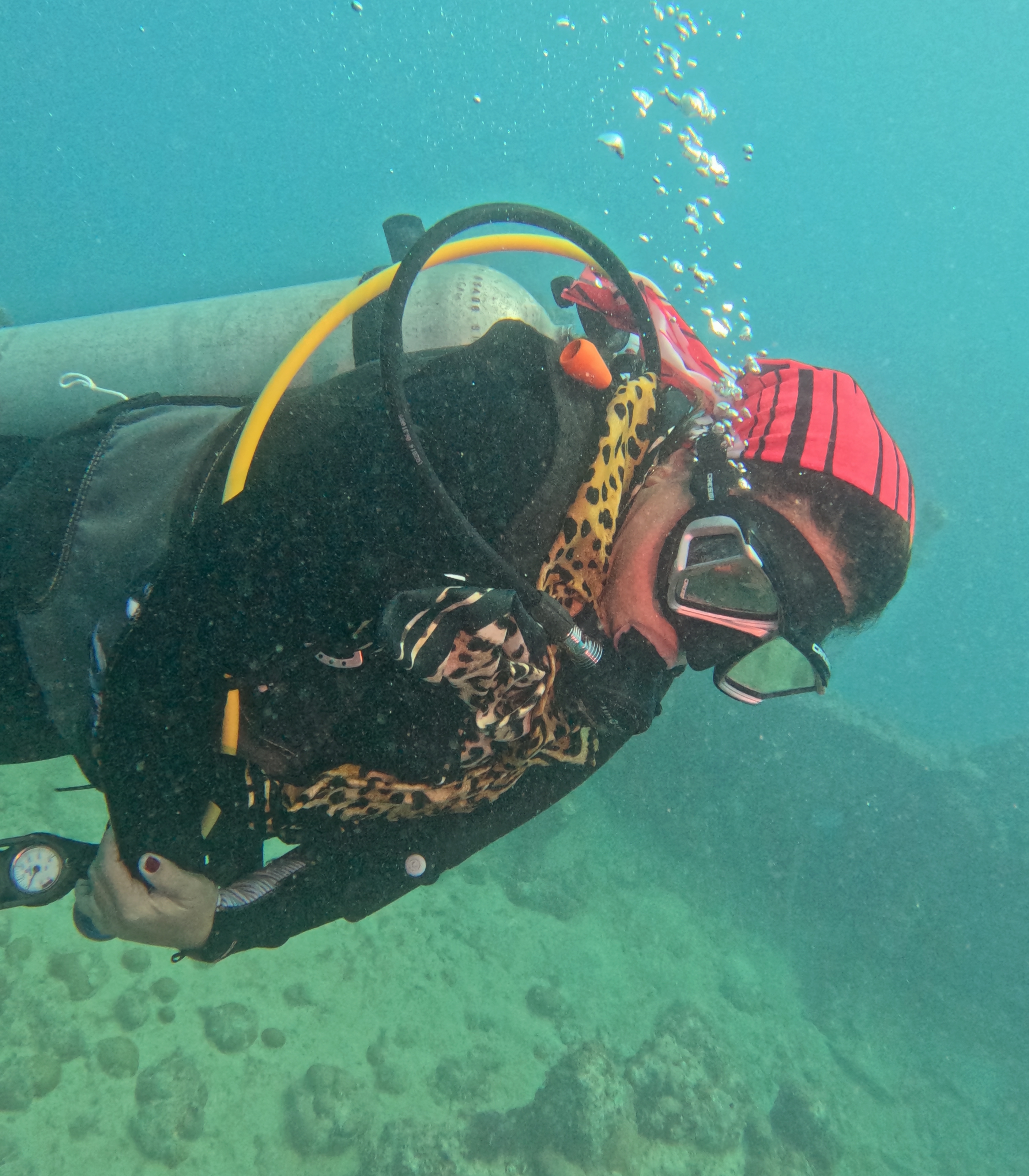 Picture taken during the dive