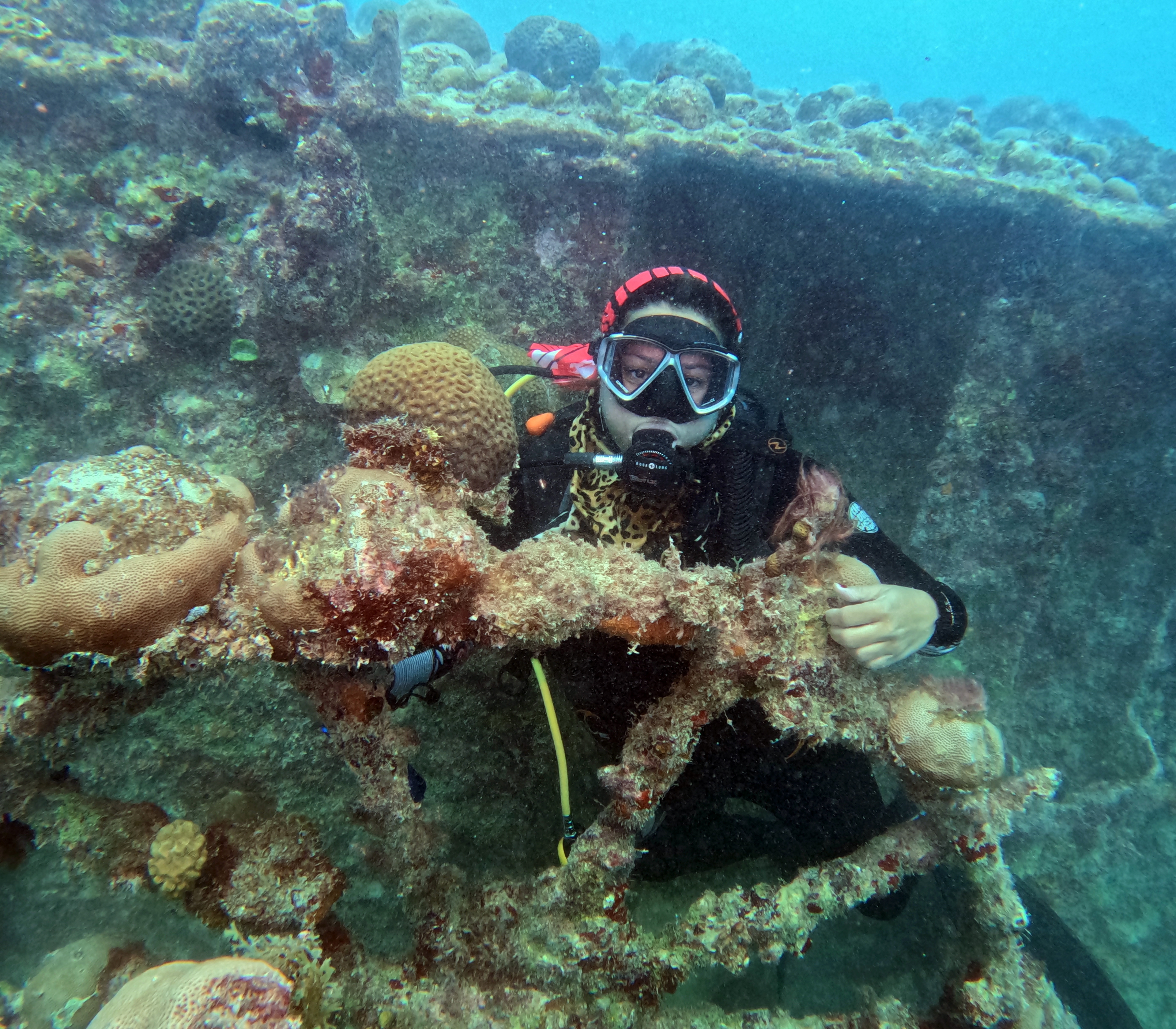 Picture taken during the dive